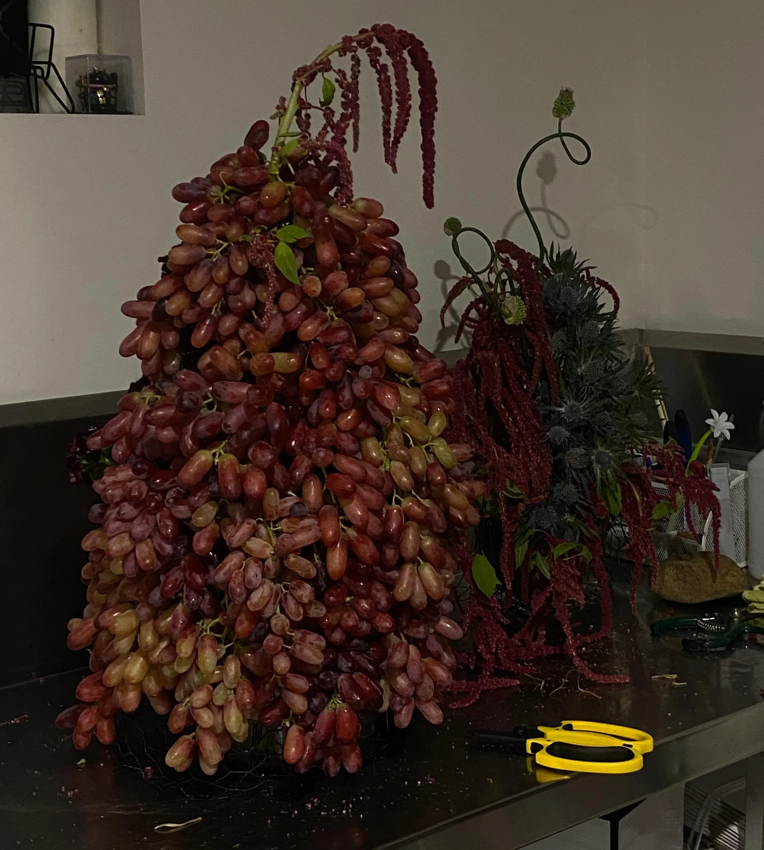 🍇🍇🍇🍇🍇🍇🍇