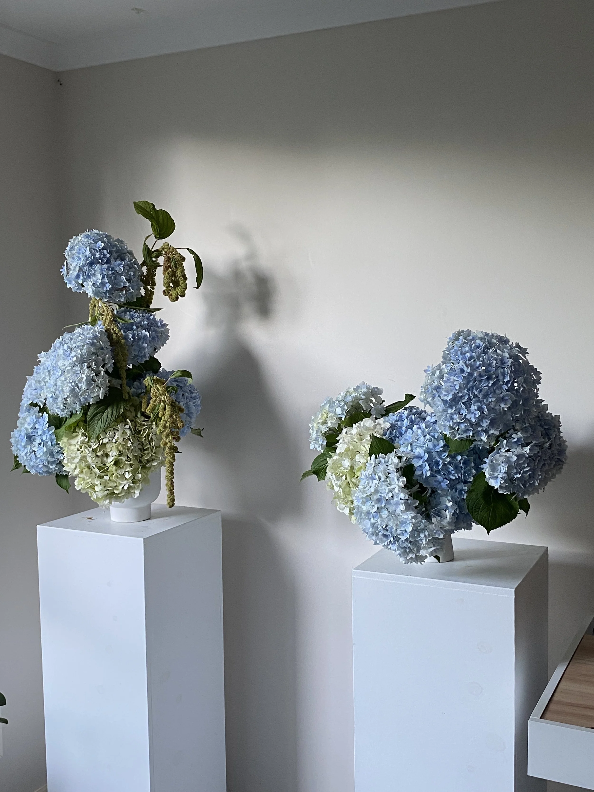 Two arrangements of blue and white hydrangea flowers on white pedestals, in a minimal gallery with plain light gray walls.