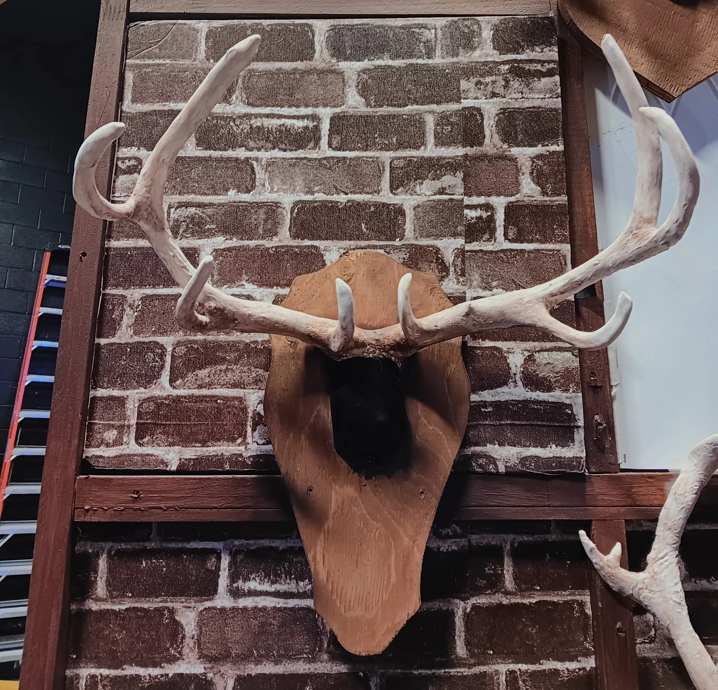Antlers 6.jpg