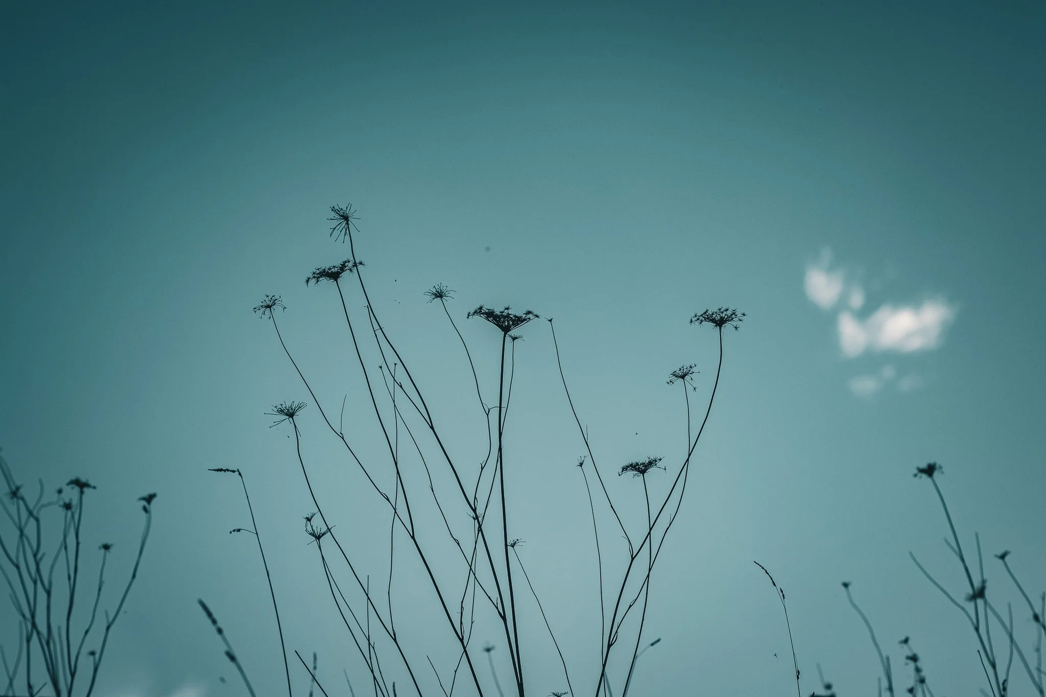 7/9/25

#canon #photography #armidale