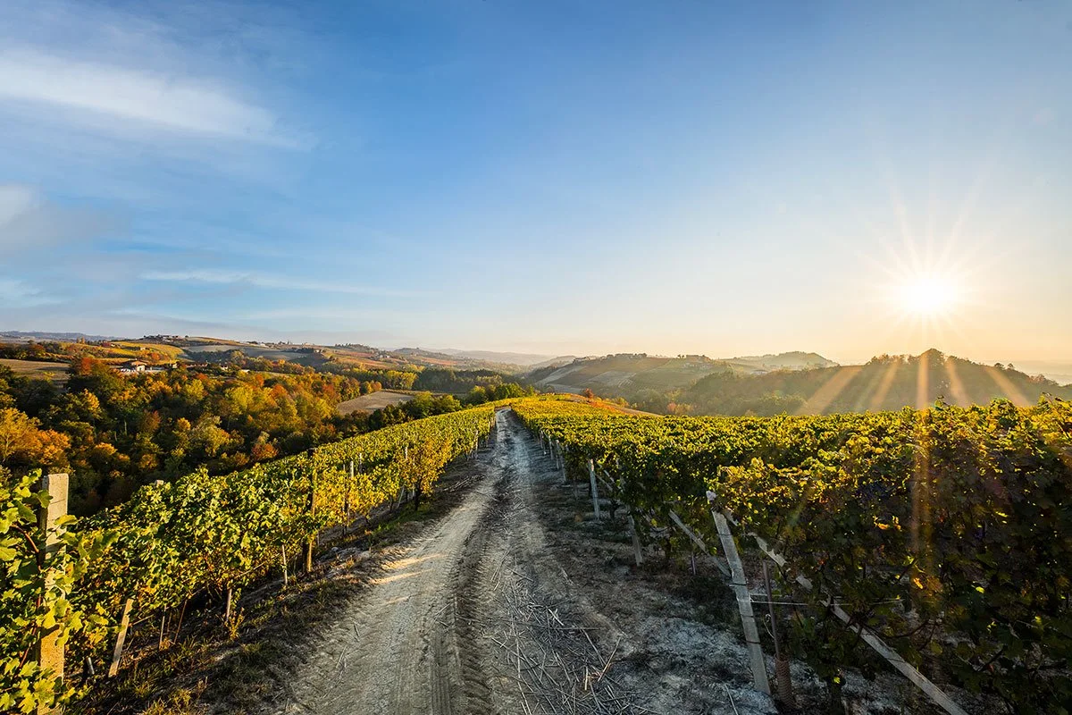 Wine Tasting & Pairing Evening