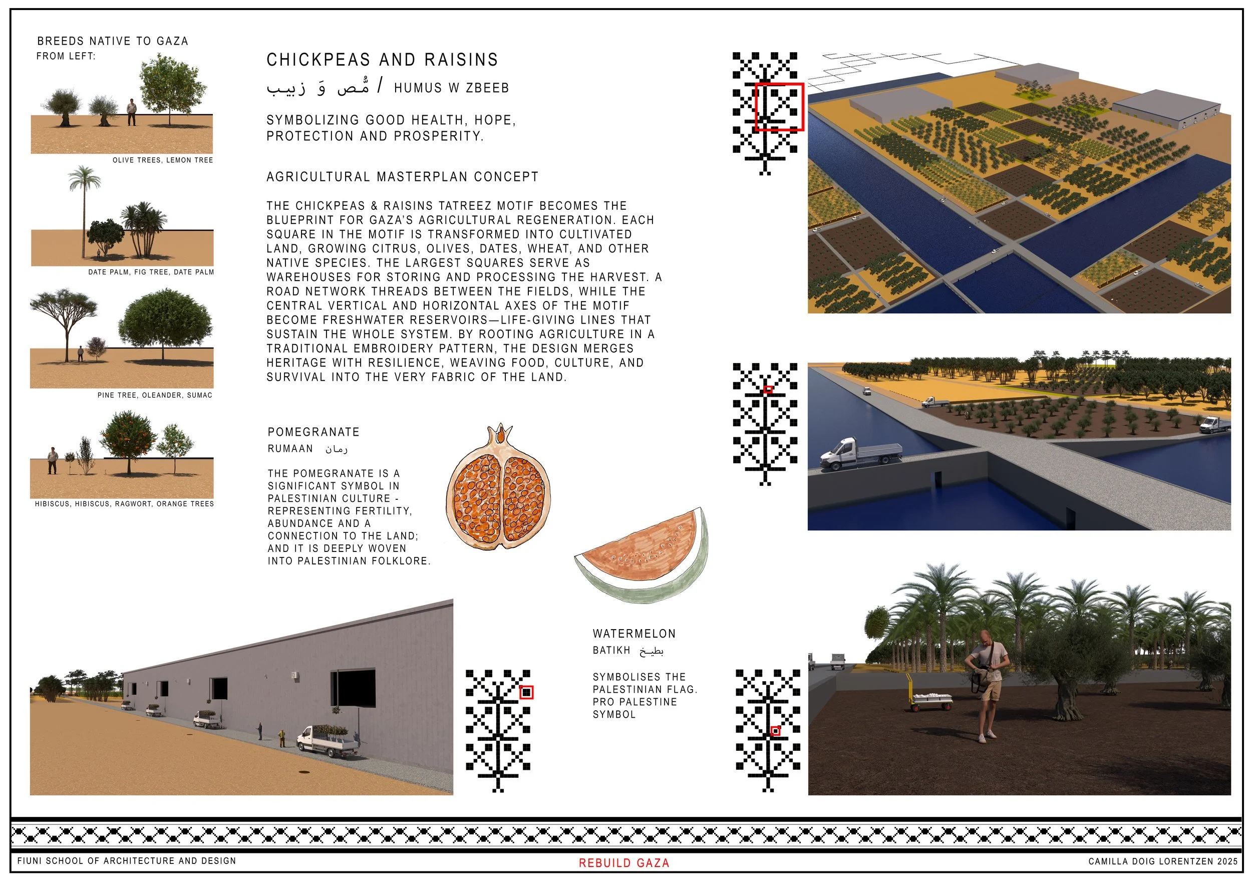 camilla-doig-lorentzen-rebuild-gaza-chickpea-agriculture-masterplan.jpg