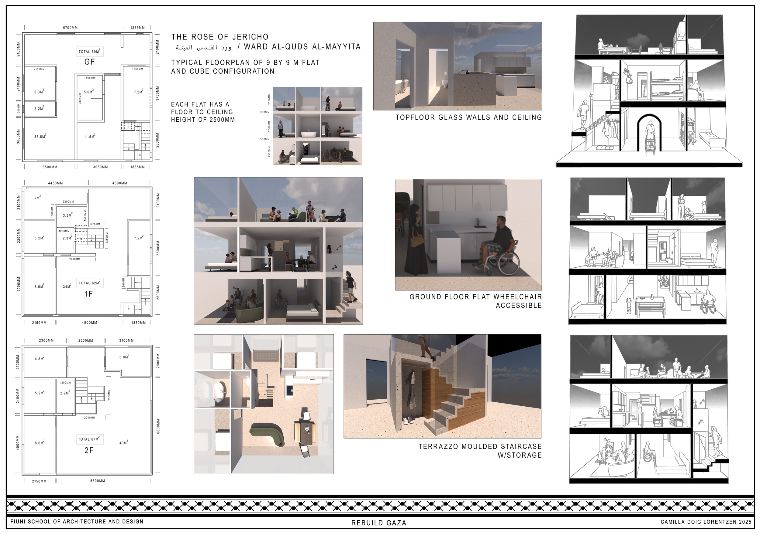 Rose of Jericho Cube