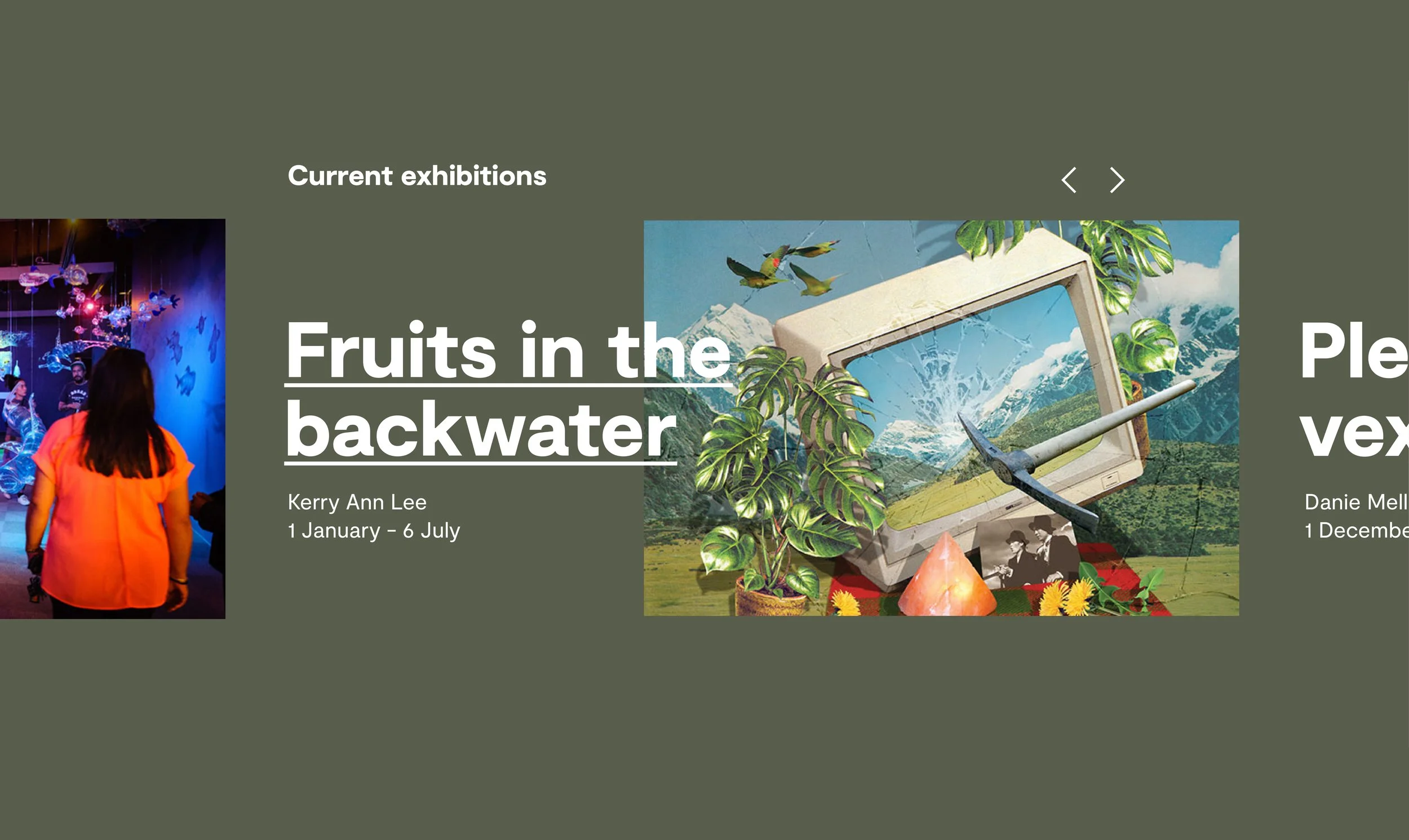 Pataka homepage design