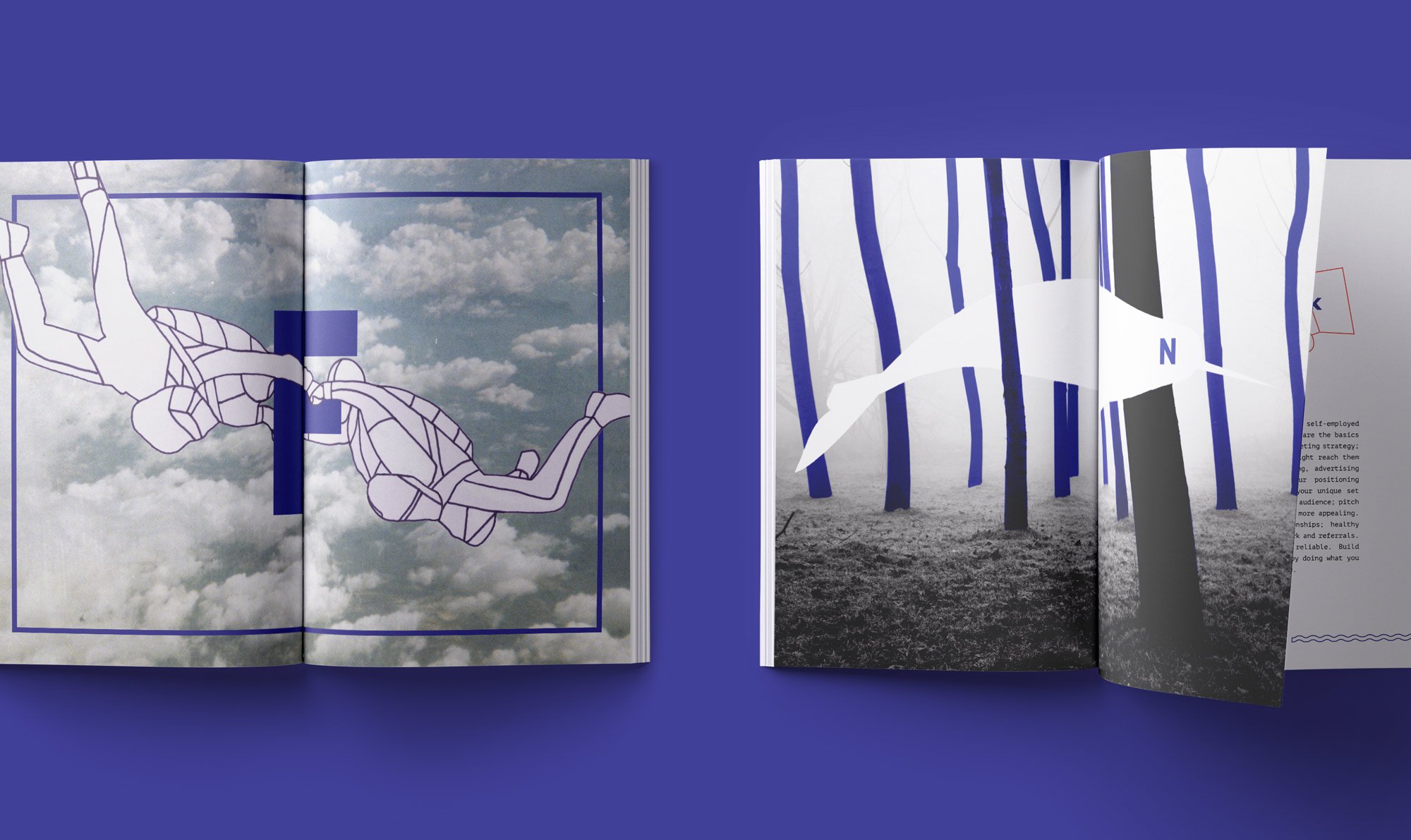 ABCs book design free fall narwhal
