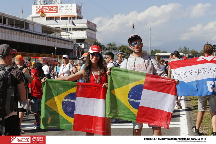 senna.jpeg
