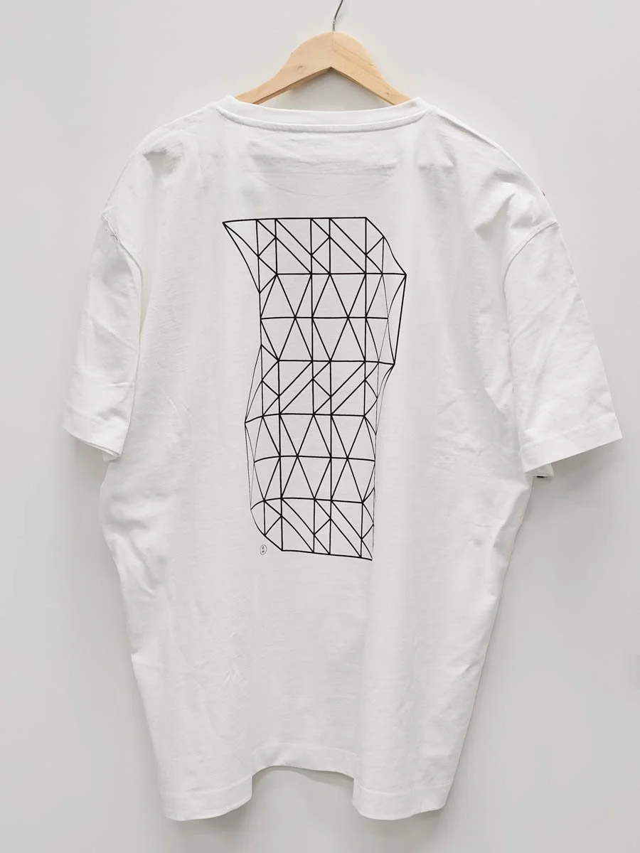 triangle flow white.jpg