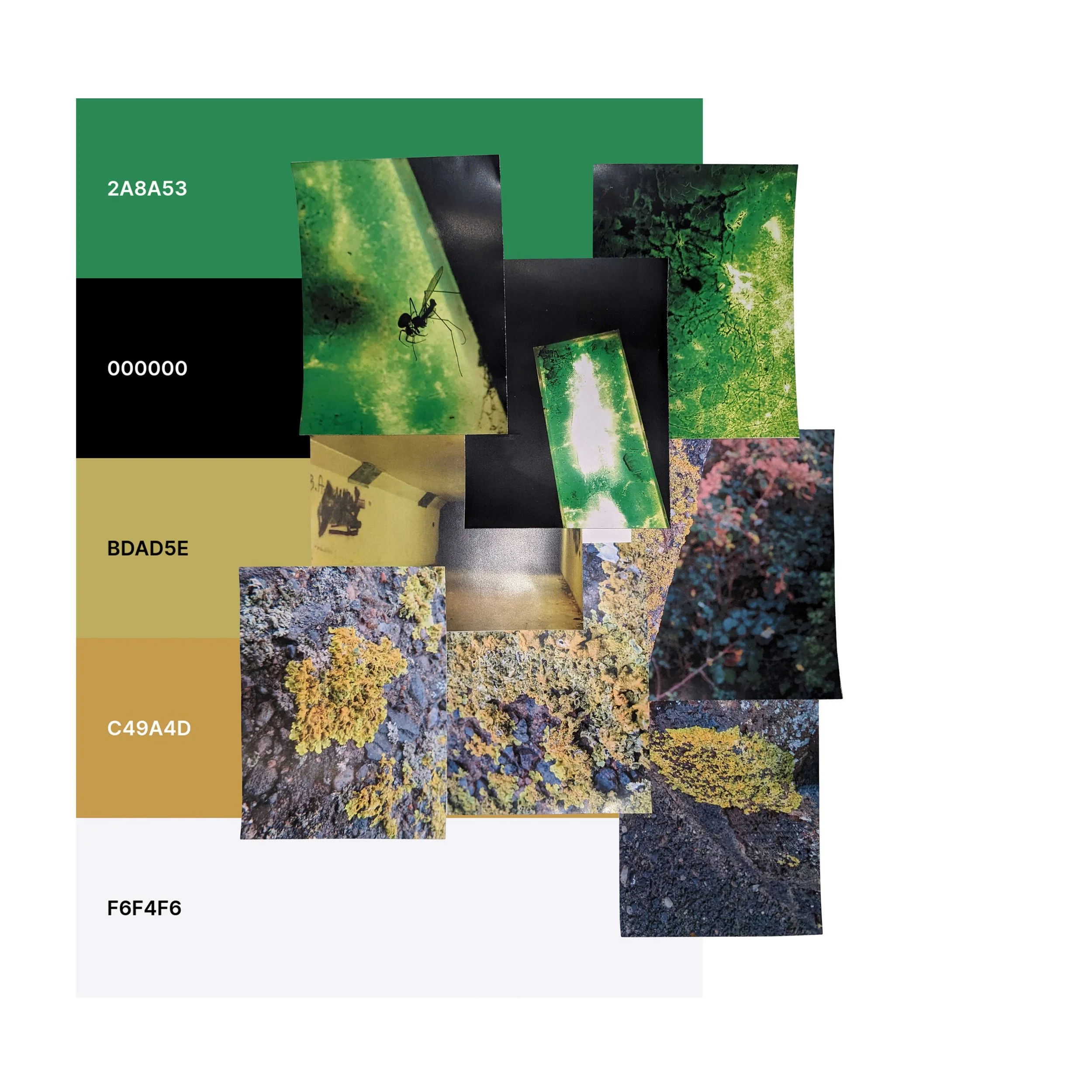 colour-moodboard-05.jpg