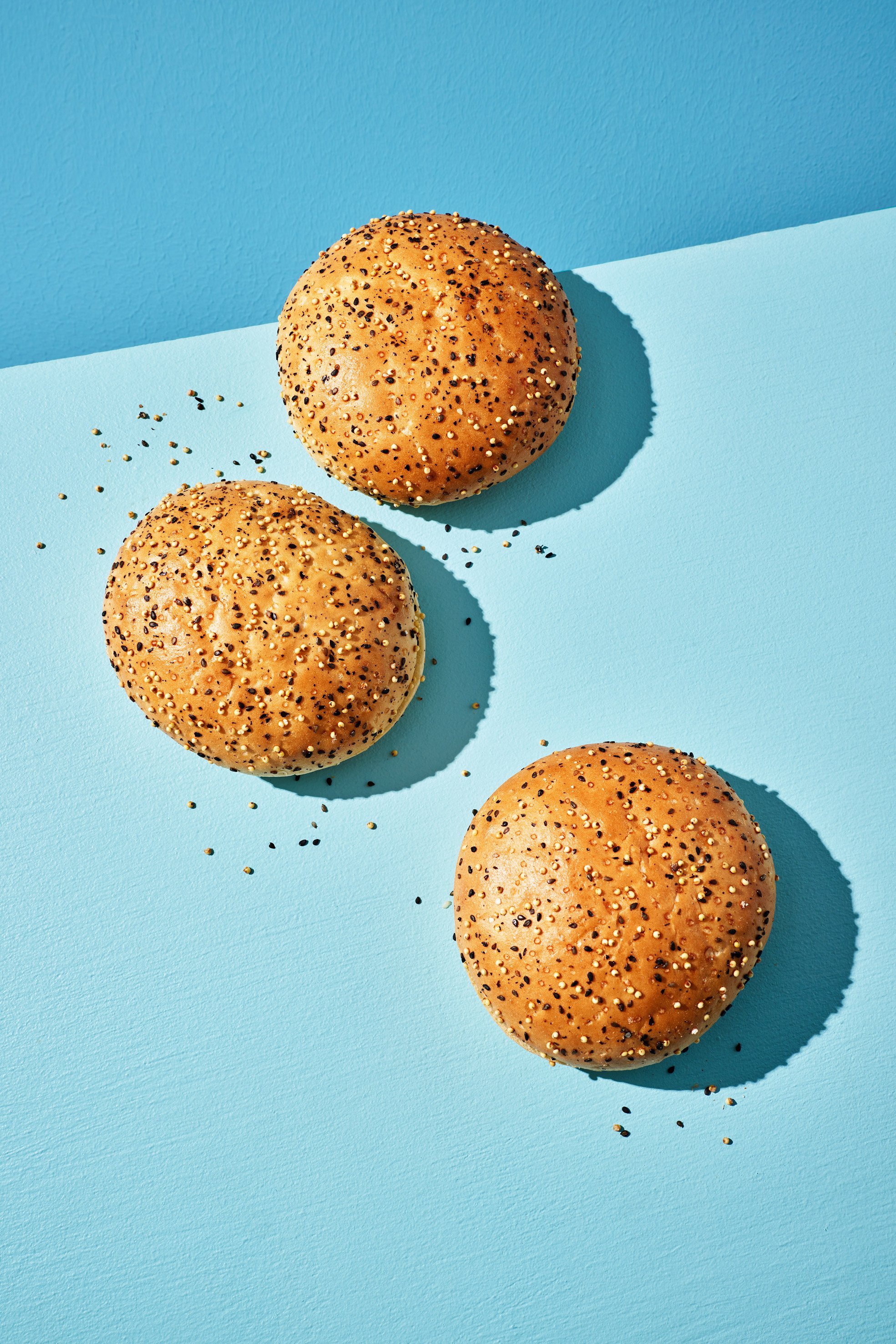 PASTRIDOR_223386_MULTISEED-HAMBURGER-BUN_TOPSHOT.jpg