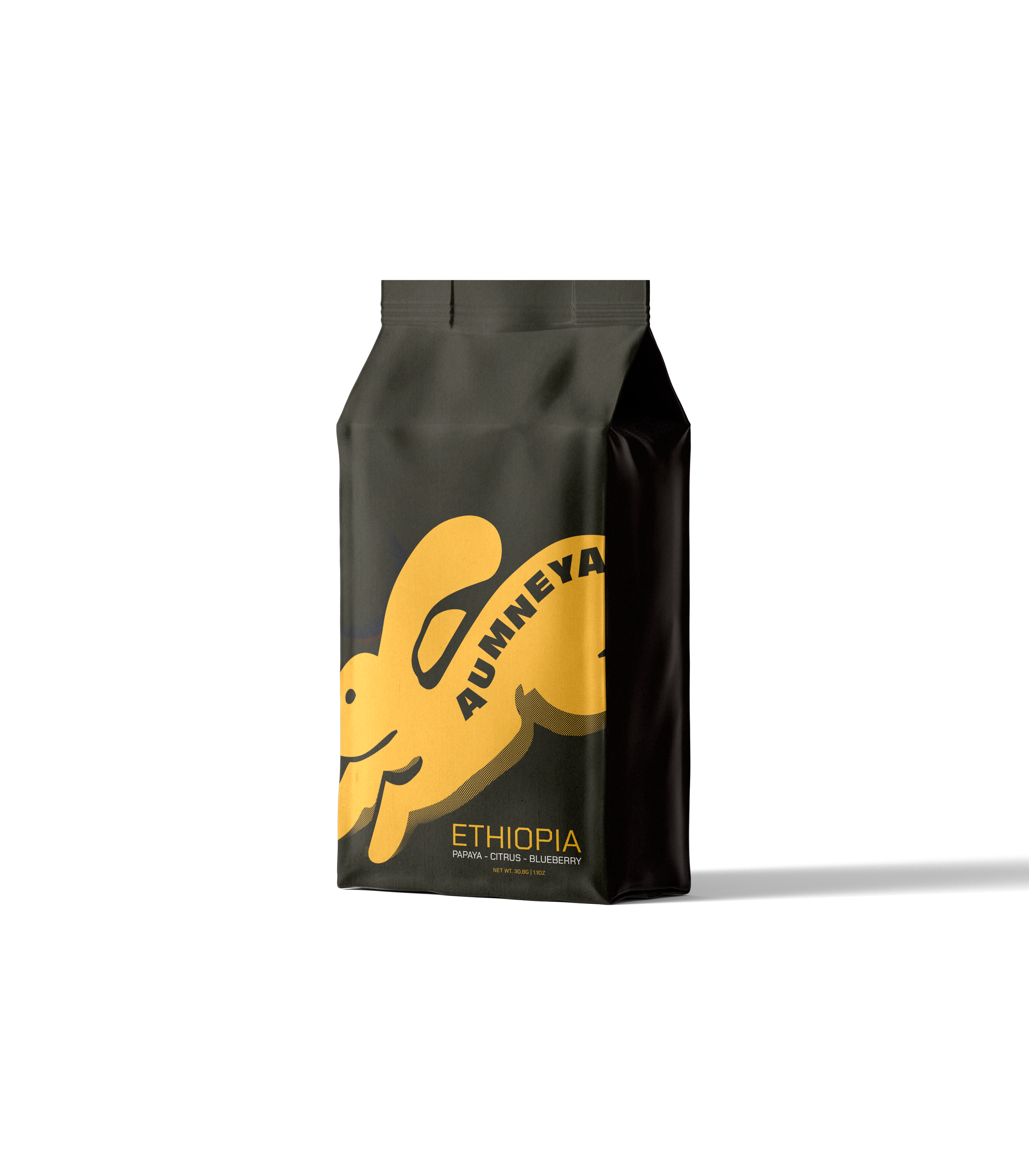 food-bag-v10-mockup-front-view.png