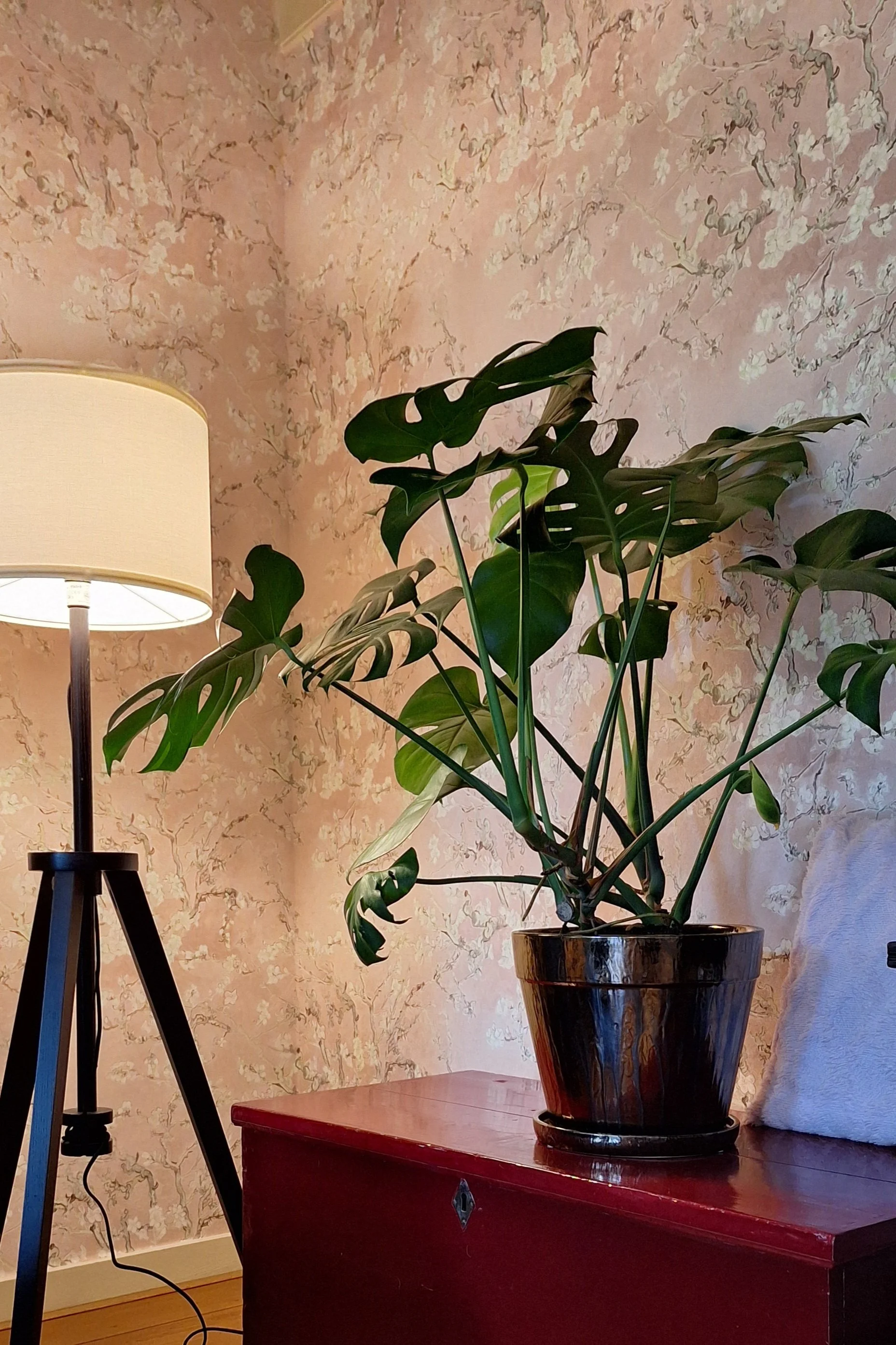 De Behangmeiden BN Walls Van Gogh Menaldum  ...jpg