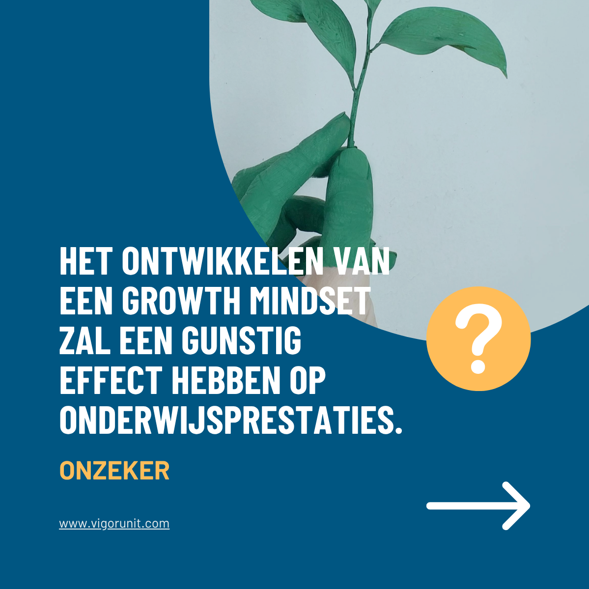 Het ontwikkelen van een growth mindset zal een gunstig effect hebben op onderwijsprestaties.
