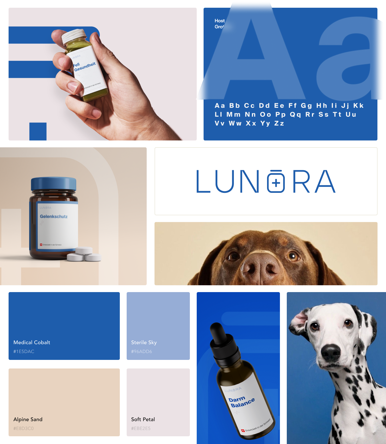 Branding, B2B SaaS & UI/UX Design für Startups - lunora startup