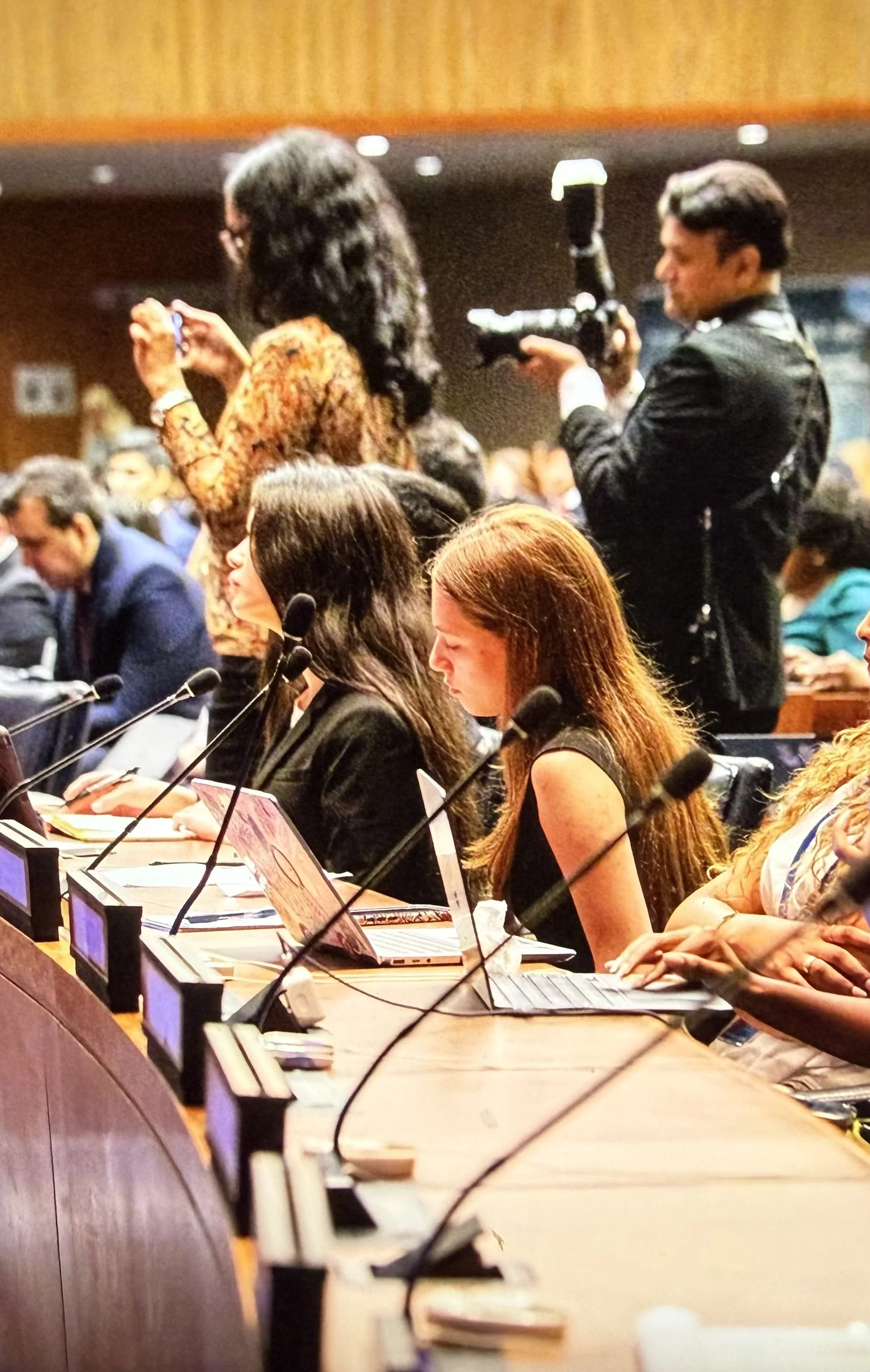 Yael at the United Nations