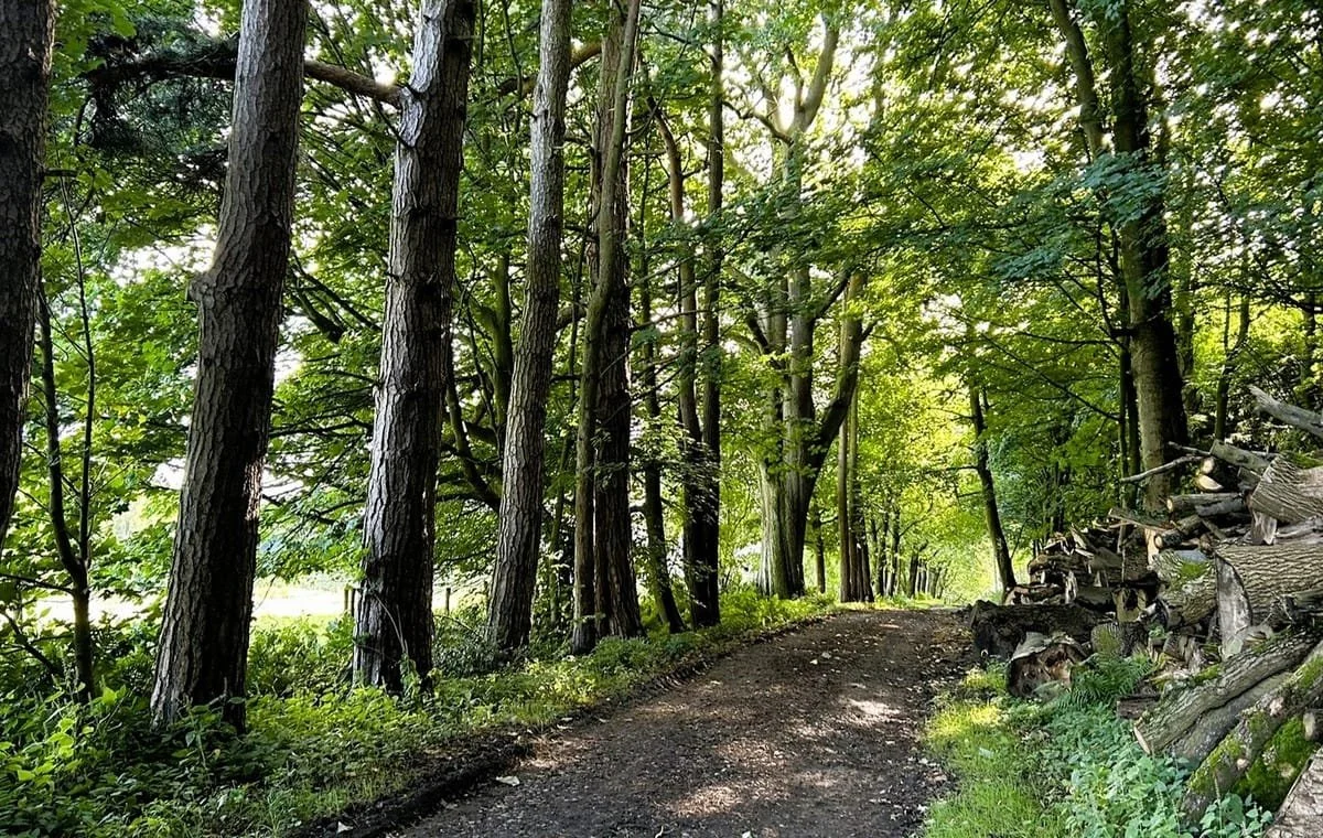 Swinton-Parkland.jpg