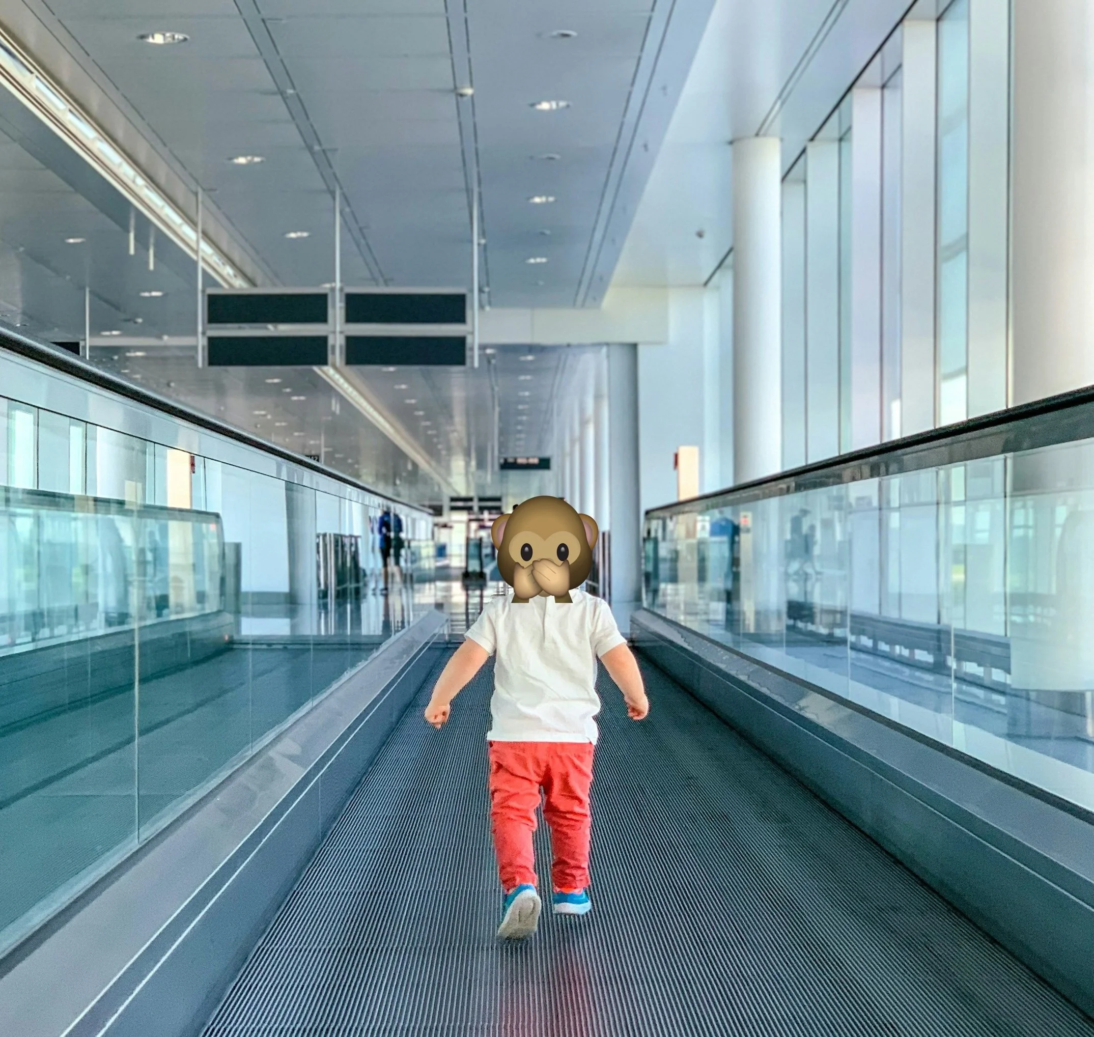 Flying with a Toddler: The Tiny Travellers Survival Guide
