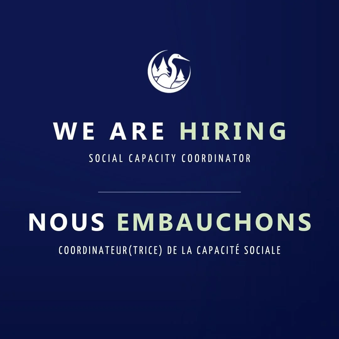 We’re Hiring: social capacity coordinator