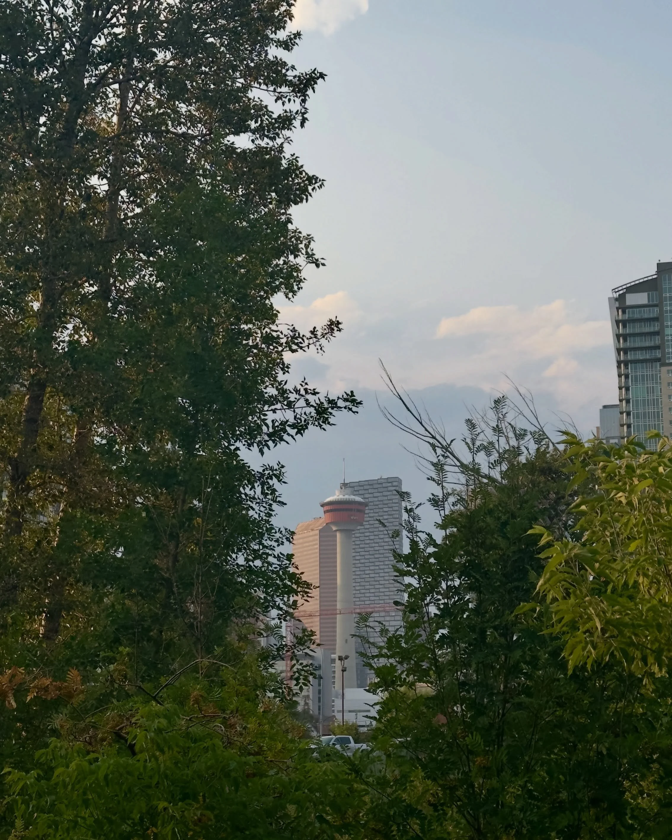 Week 27, 28, 29 + 30 back in Alberta 🤠 🌞 🍦 🚙 🌽

#digitalnomad #calgarystampede #priaries