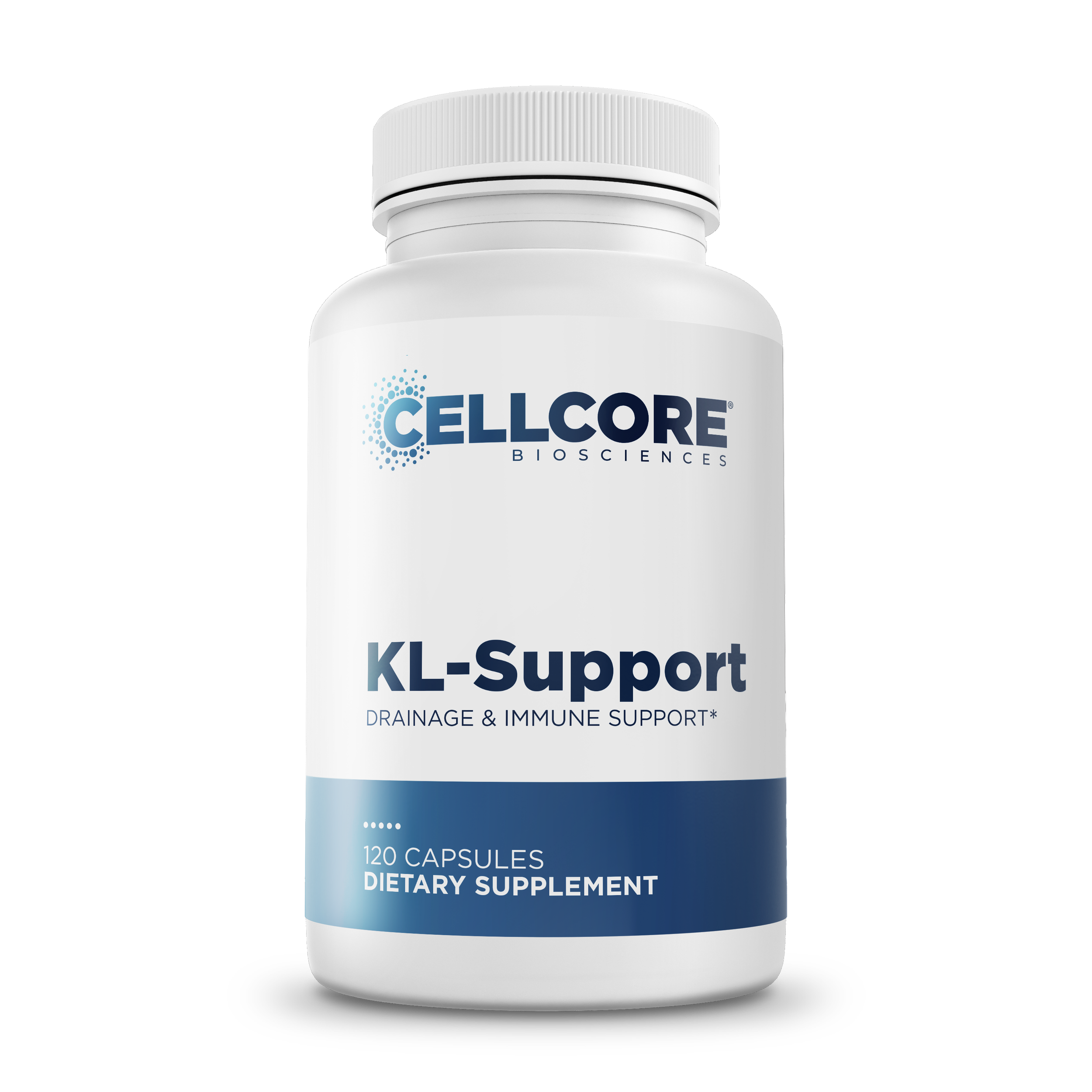 KL-Support-Front.png