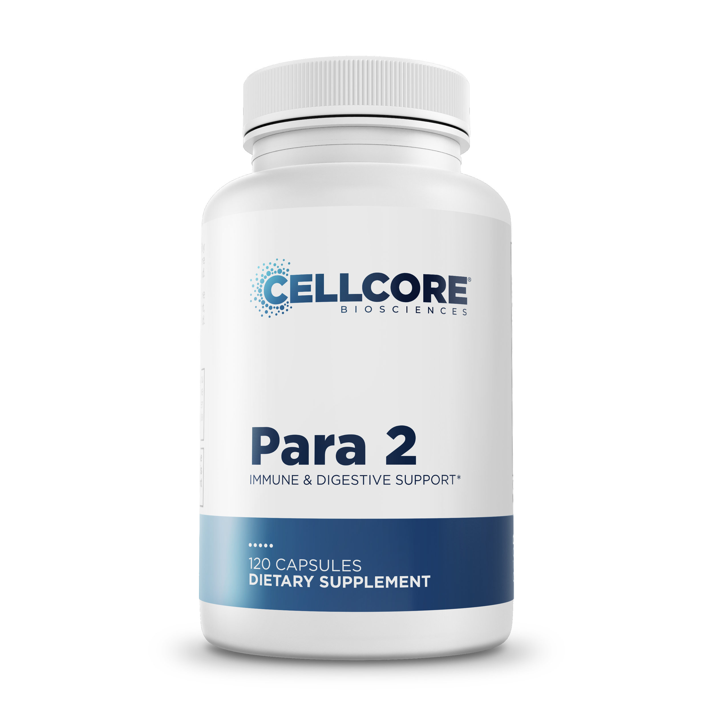 Para-2-Front.png