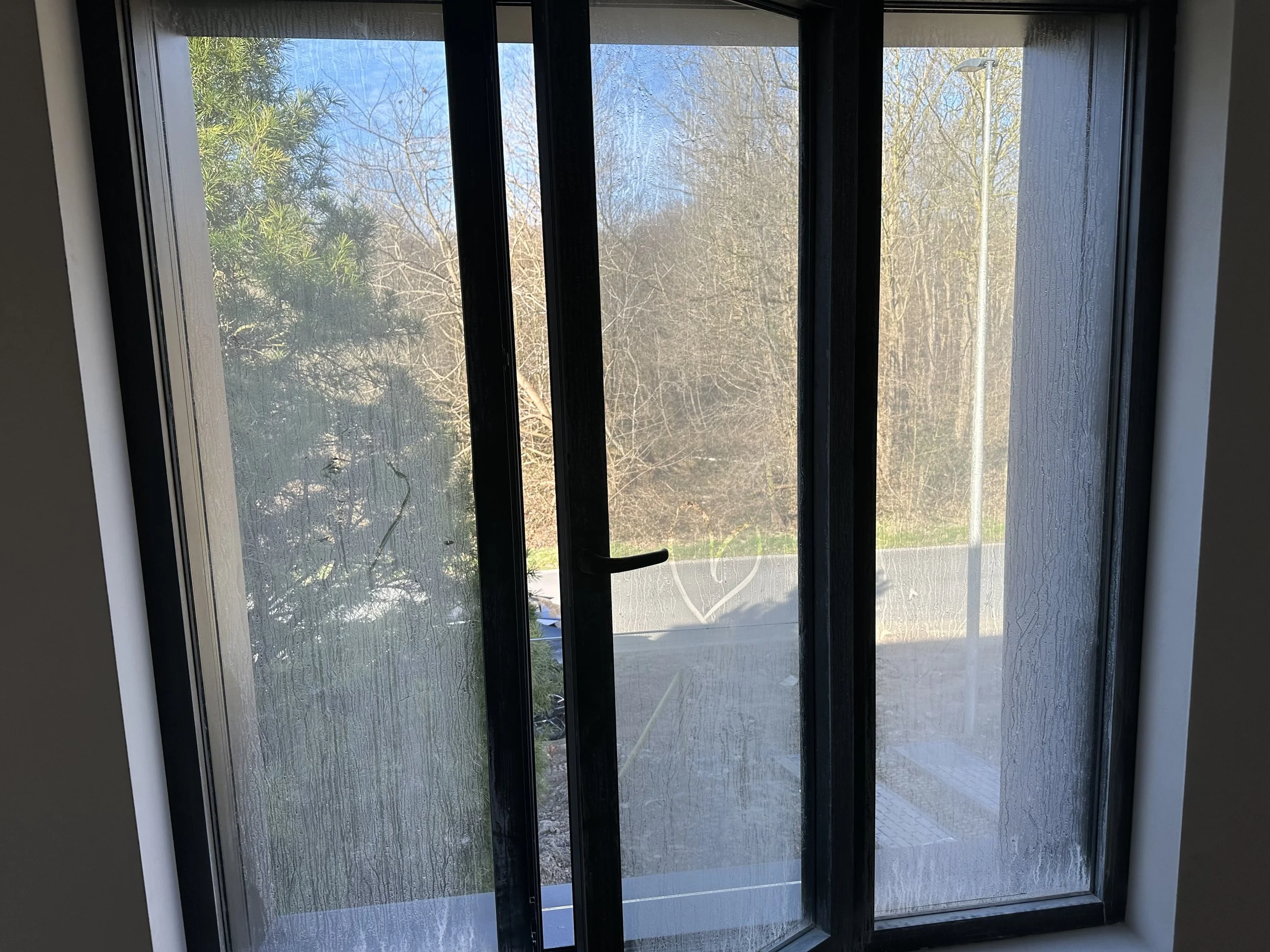 Venster met oude, vochtige en beslagen glasschermen, met uitzicht op een tuin met bomen en een dicht bos of struikgewas.