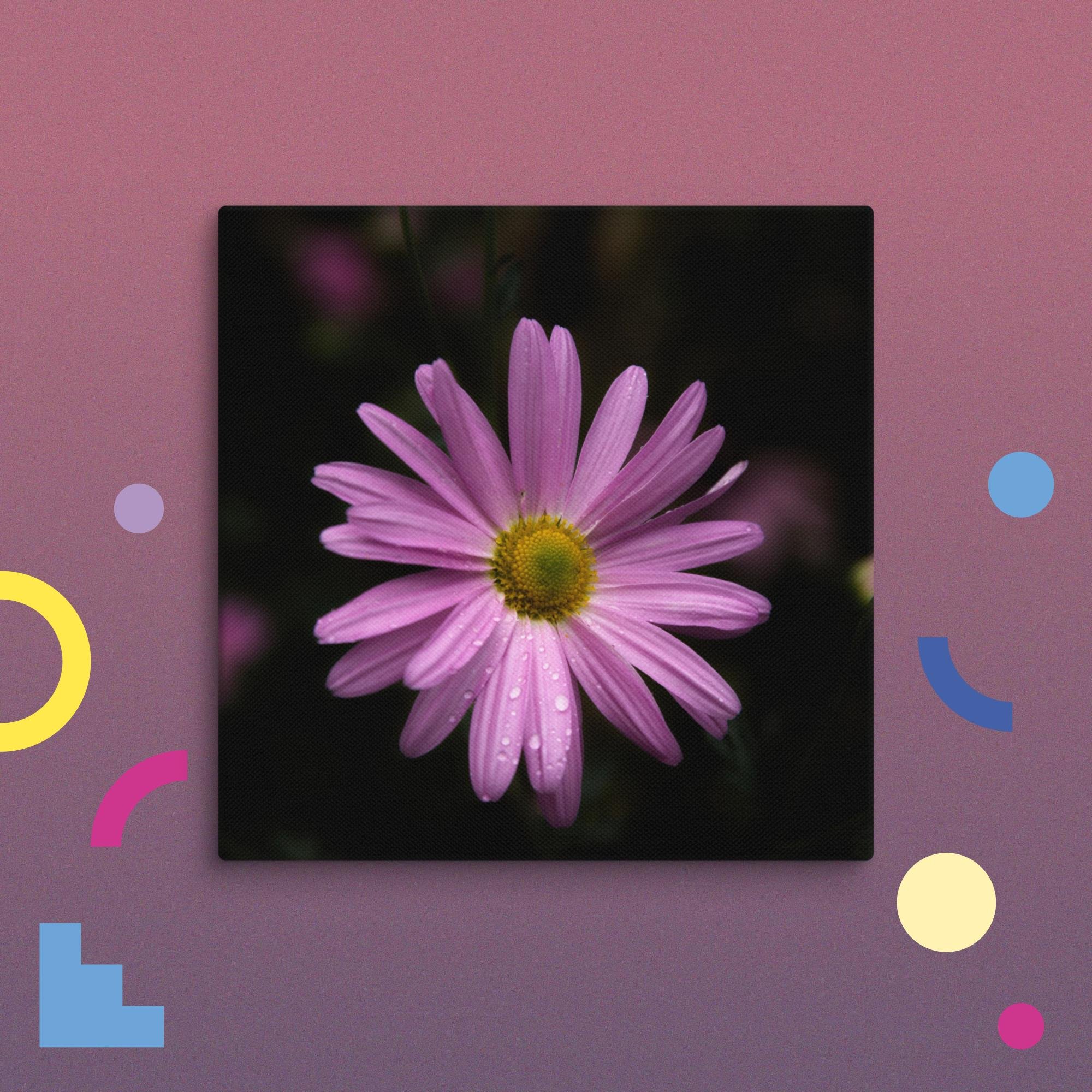 canvas-(in)-10x10-wall-674ba3173b48a.jpg