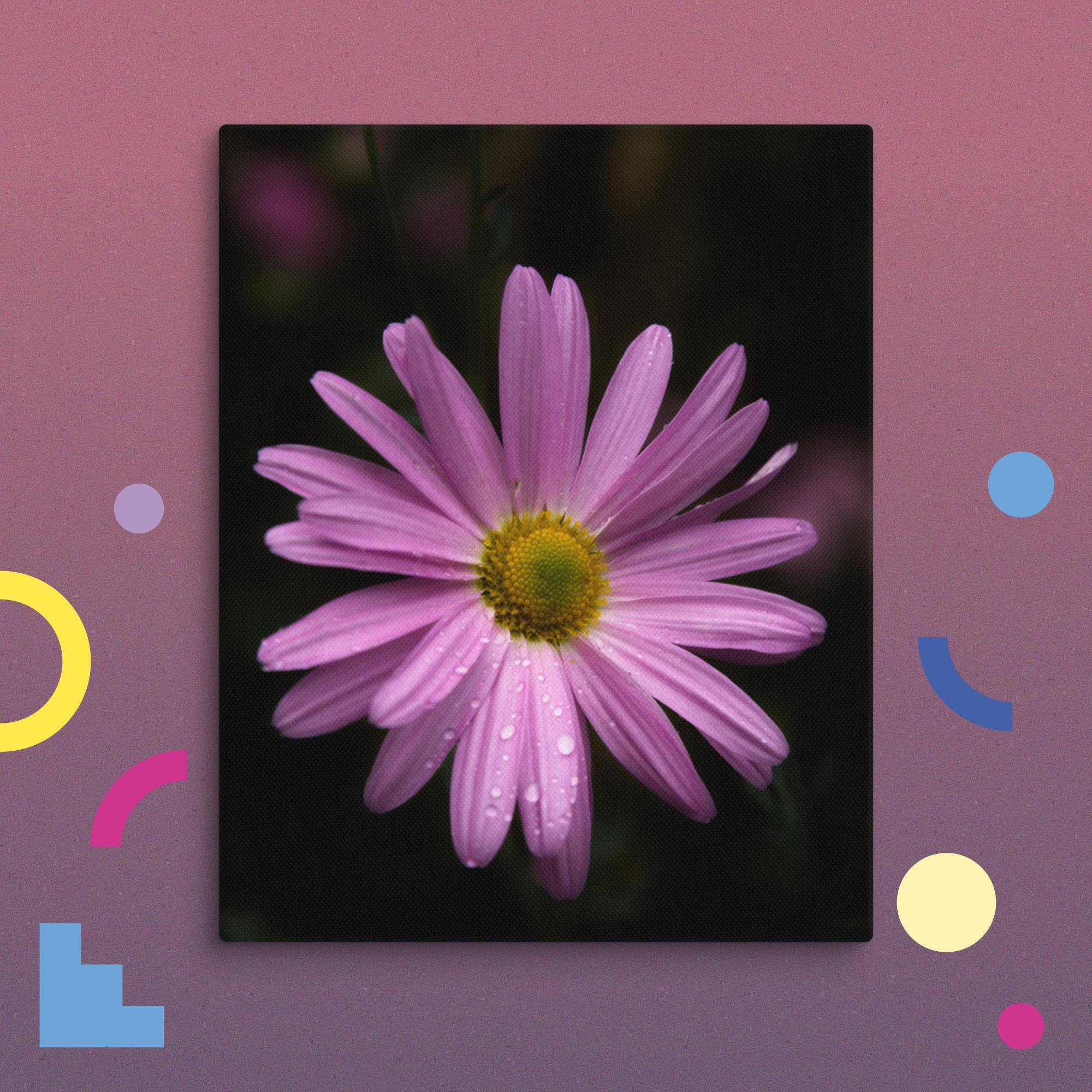 canvas-(in)-8x10-wall-674ba31743ed7.jpg