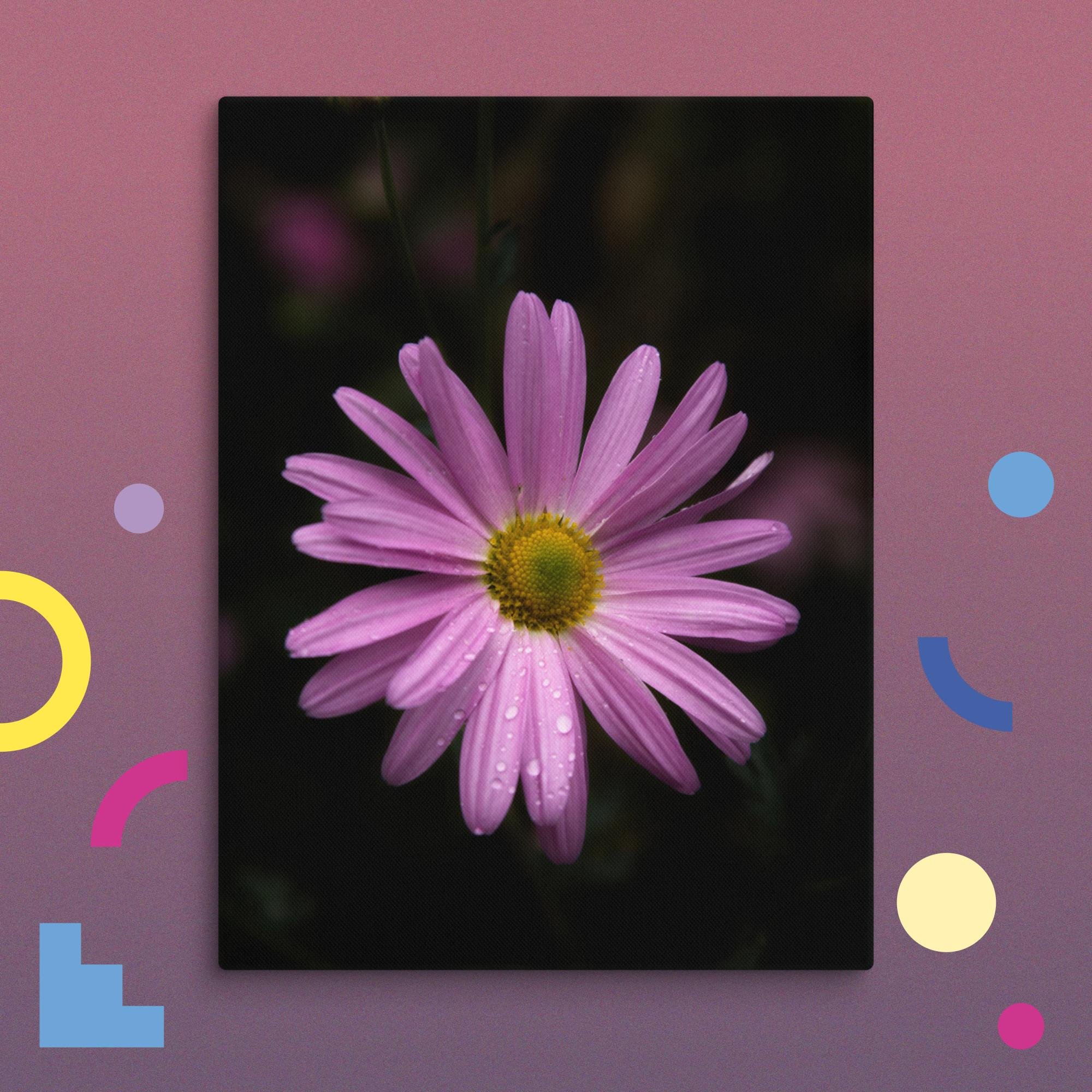 canvas-(in)-24x32-wall-674ba317470de.jpg