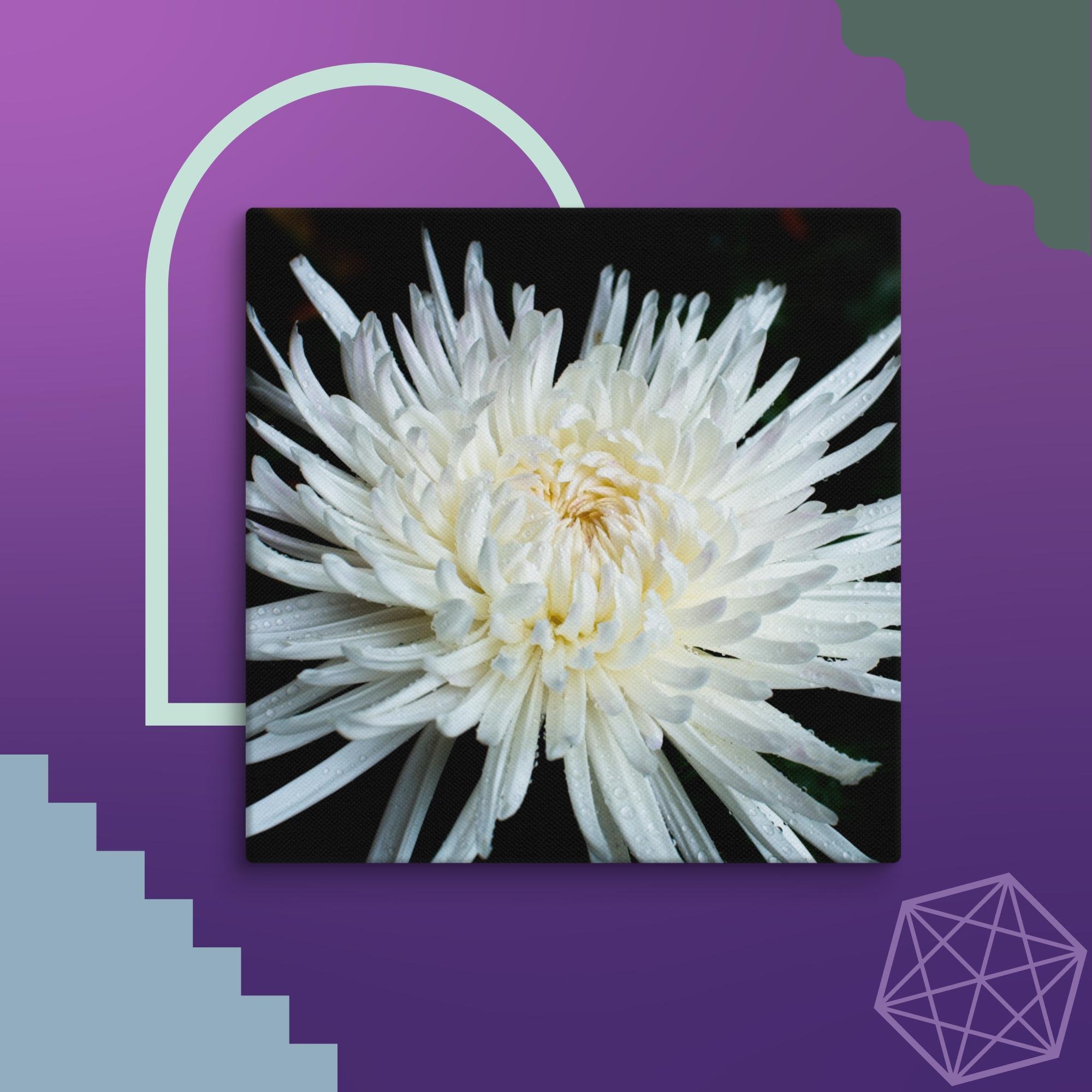 canvas-(in)-10x10-wall-674d455a0dbde.jpg