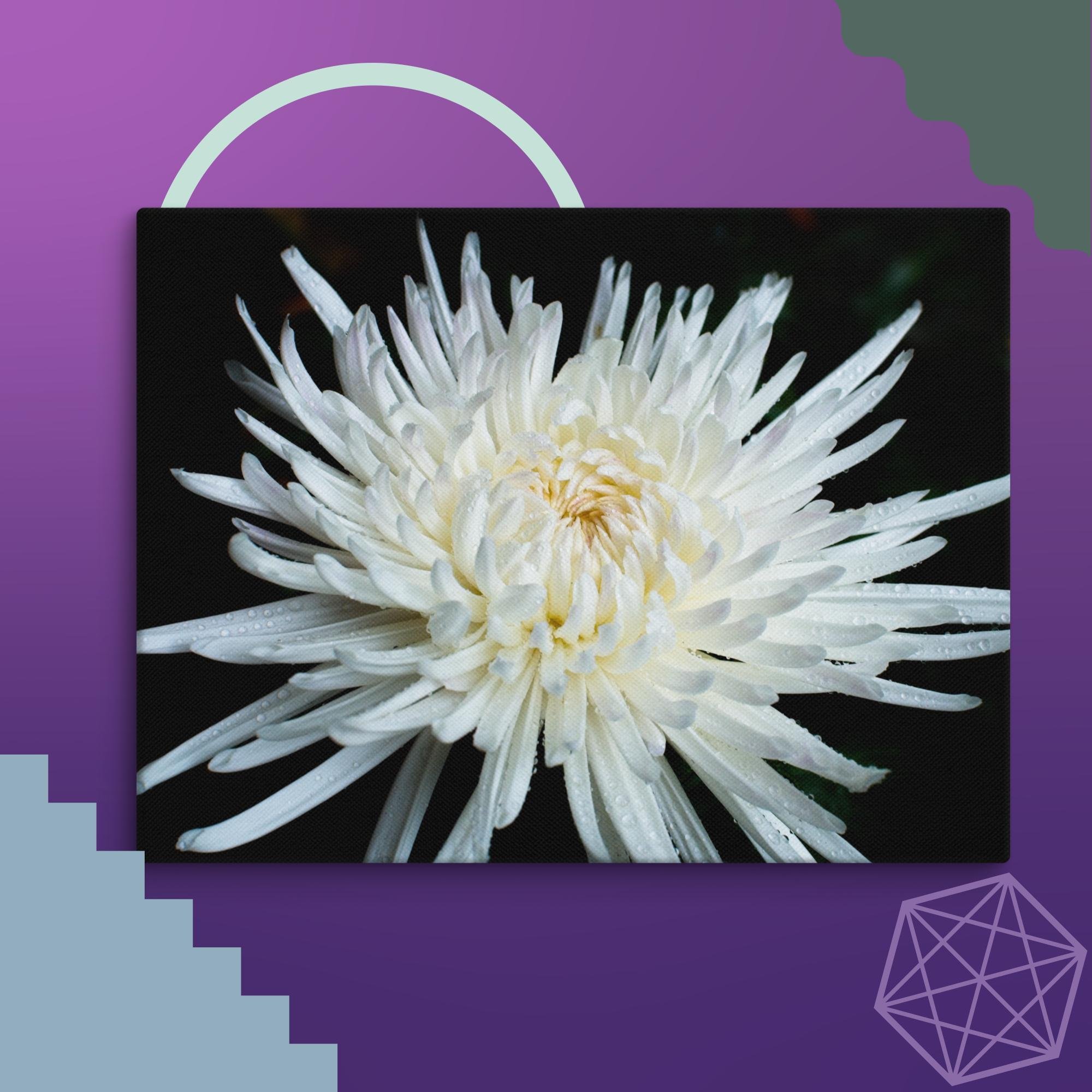 canvas-(in)-9x12-wall-674d455a1176b.jpg