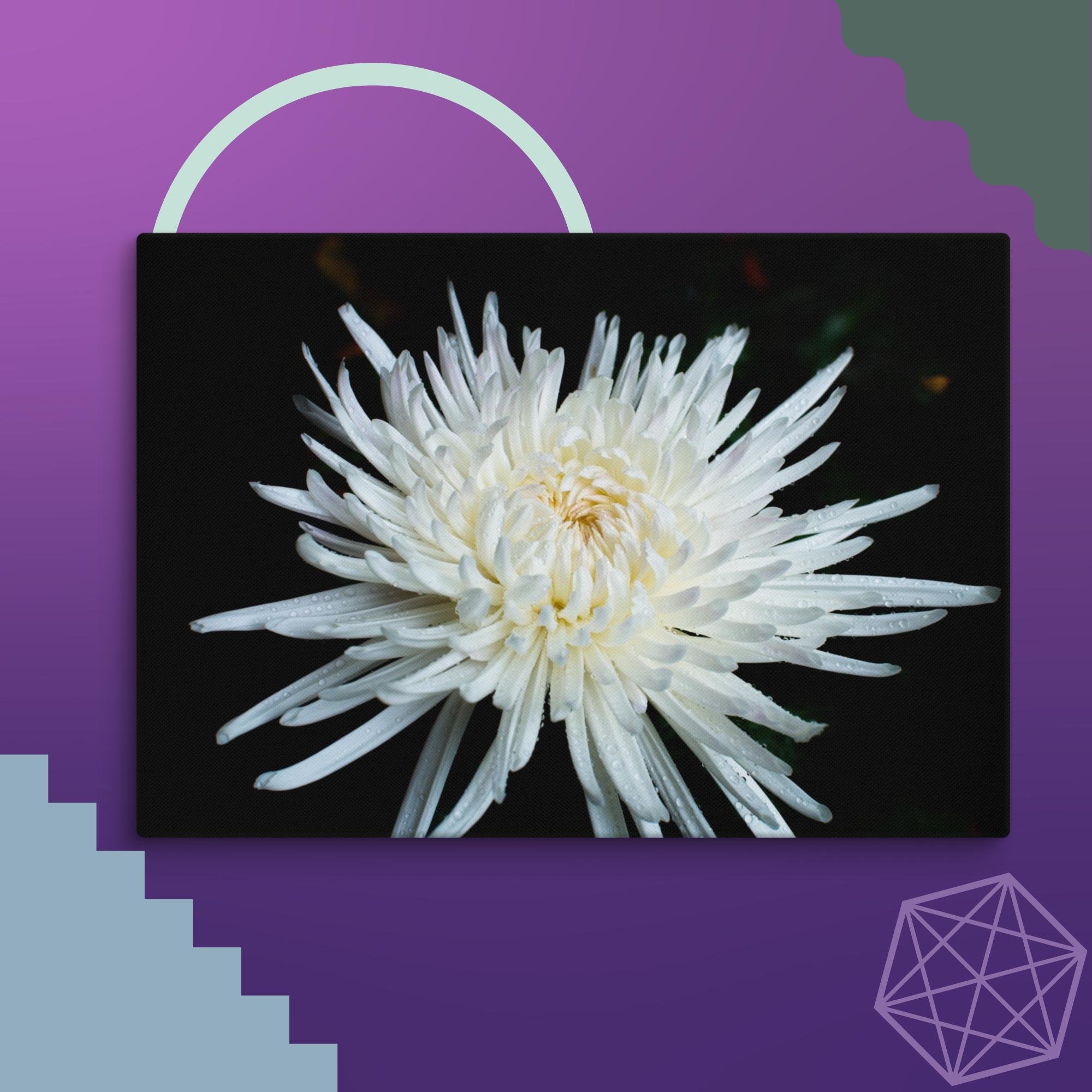 canvas-(in)-18x26-wall-674d455a1af3e.jpg