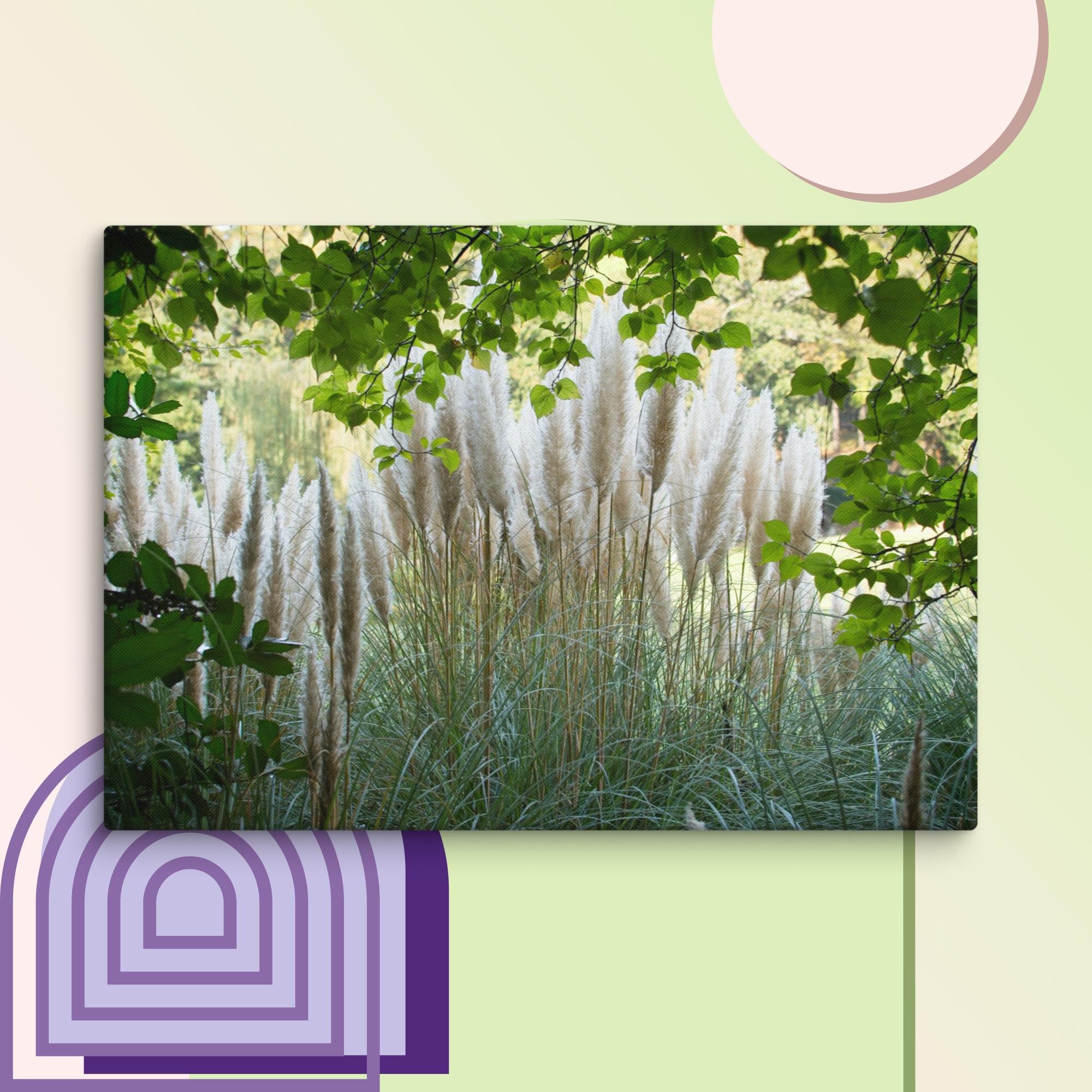 canvas-(in)-18x26-wall-6752001bba511.jpg