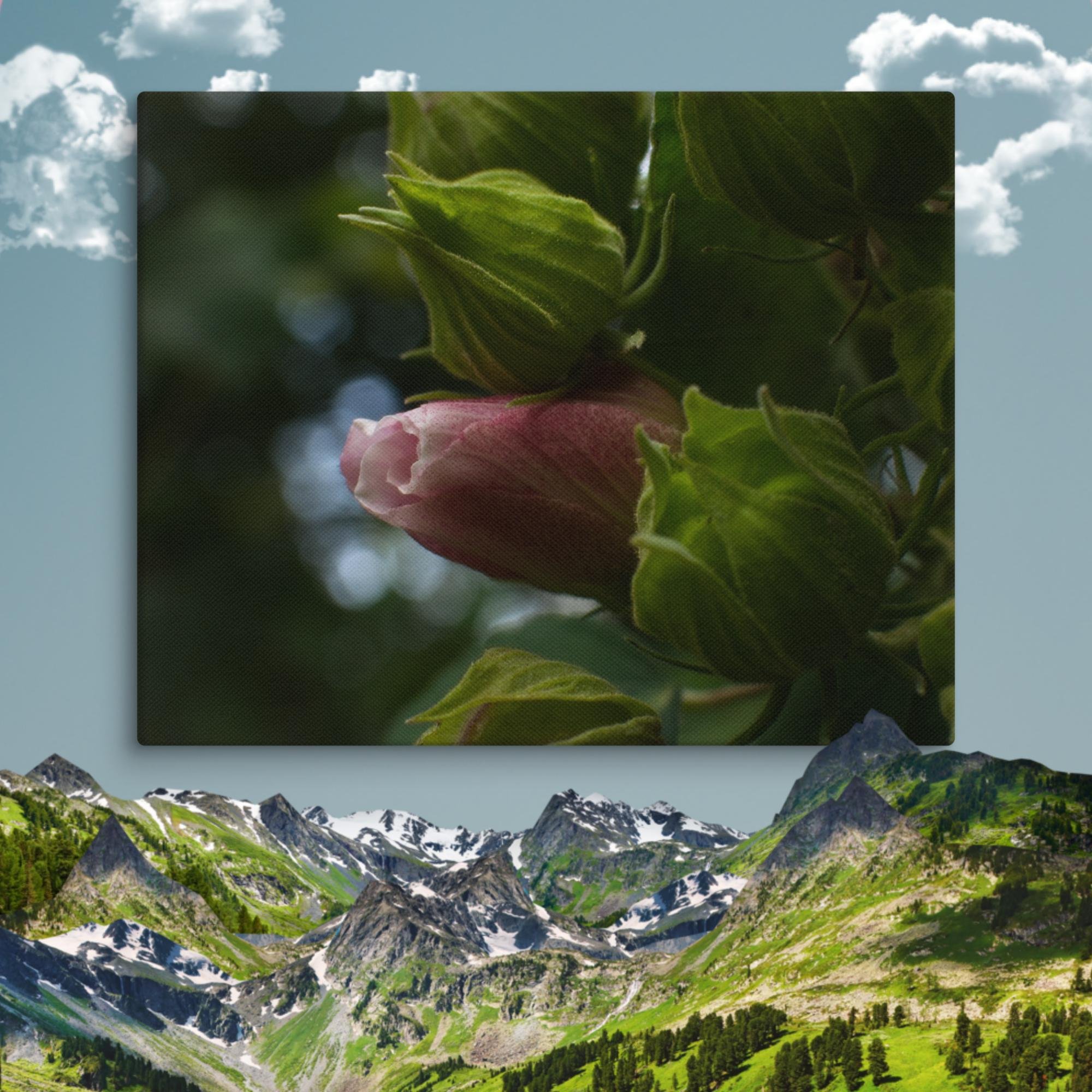 canvas-(in)-8x10-wall-67520d4e5b765.jpg