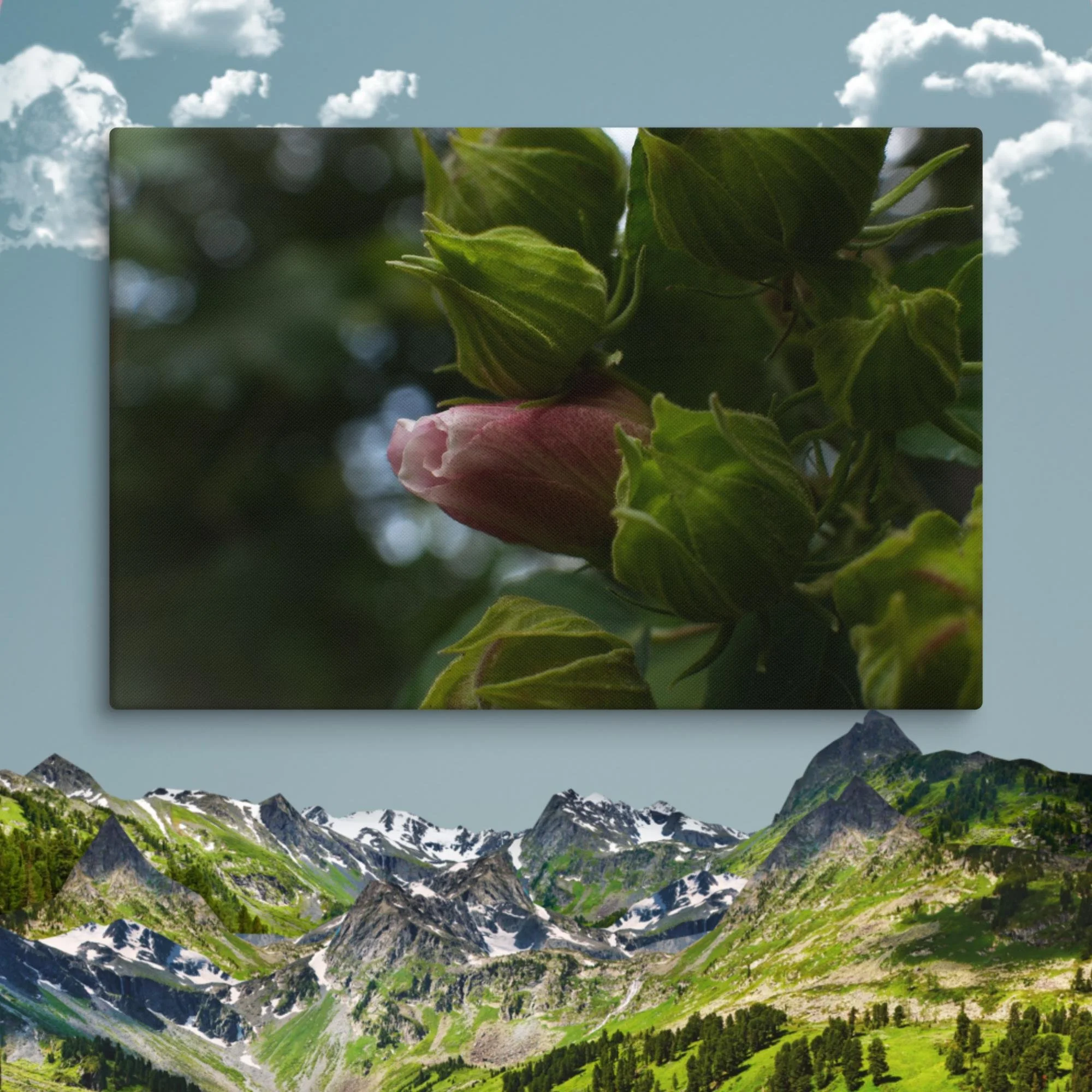 canvas-(in)-16x24-wall-67520d4f07b53.jpg