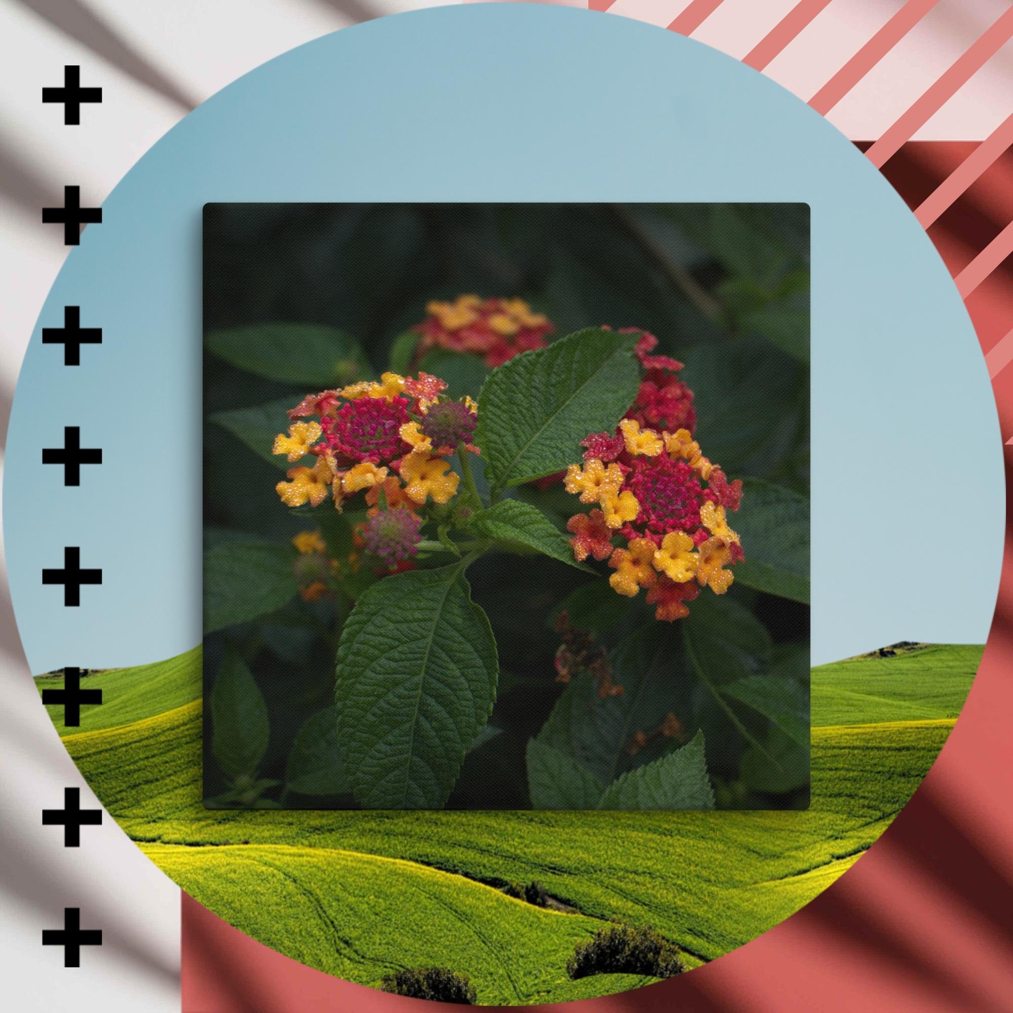 canvas-(in)-20x20-wall-67521db6138ad.jpg