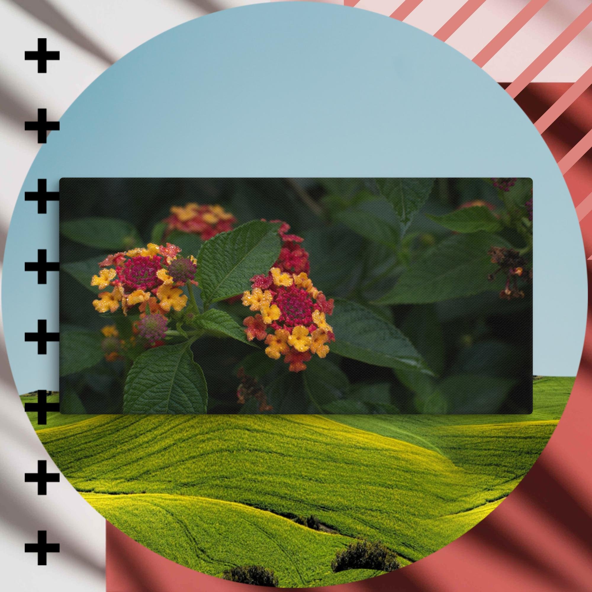 canvas-(in)-10x20-wall-67521db637f11.jpg