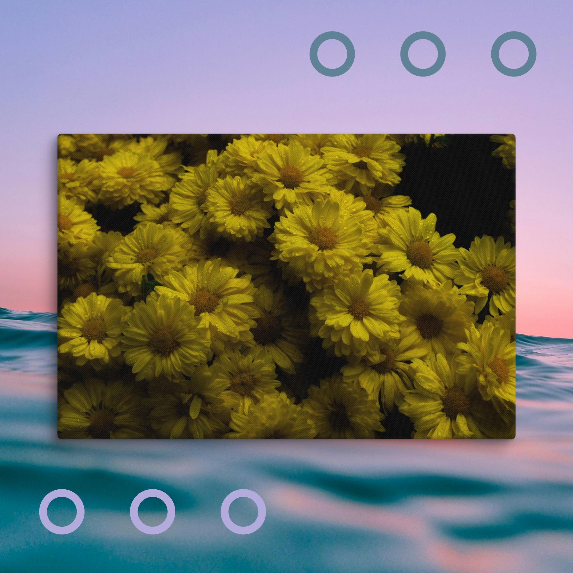 canvas-(in)-16x24-wall-67522e531a96b.jpg