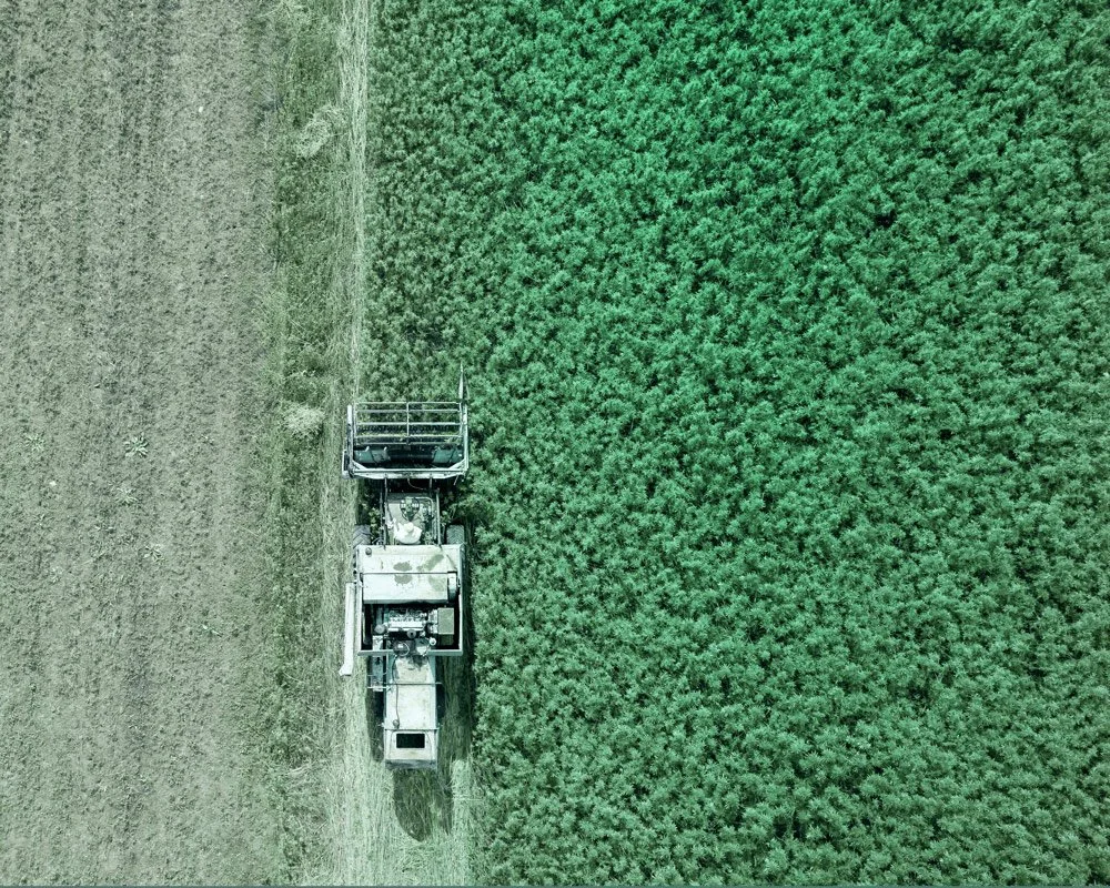 Die zentrale Grundlage für die Cancret Innovationen stellt der gezielte Einsatz von Industriehanf dar. Dieser verbessert die Nachhaltigkeit, Kosteneffizienz und den Nutzerkomfort Ihrer Neubauten oder Sanierung.