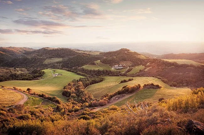 What Is Moon Mountain District AVA? The Sonoma Appellation You Should Know