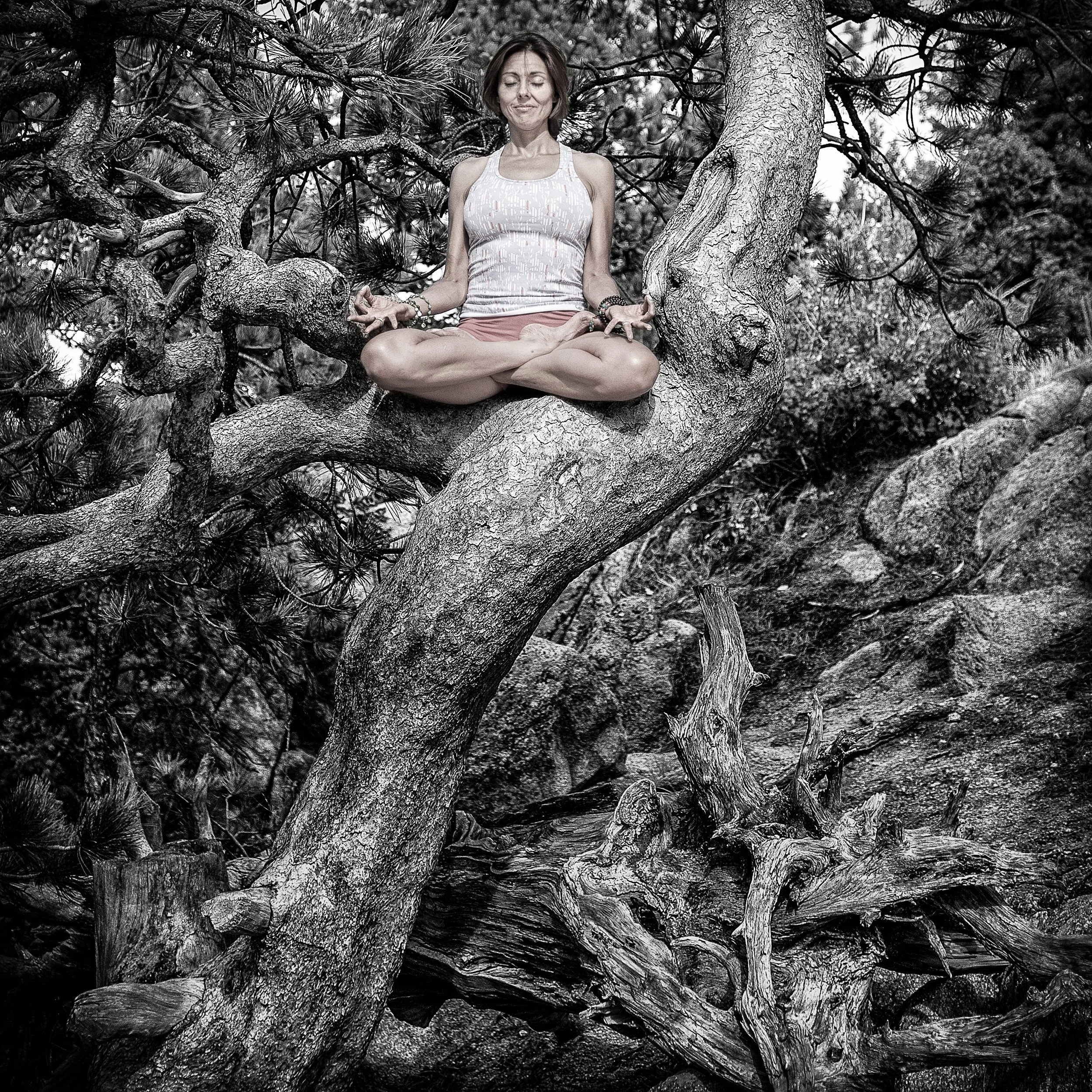 yoga-art-tree-lotus-omlight-DSC2927-2484 PS.jpg