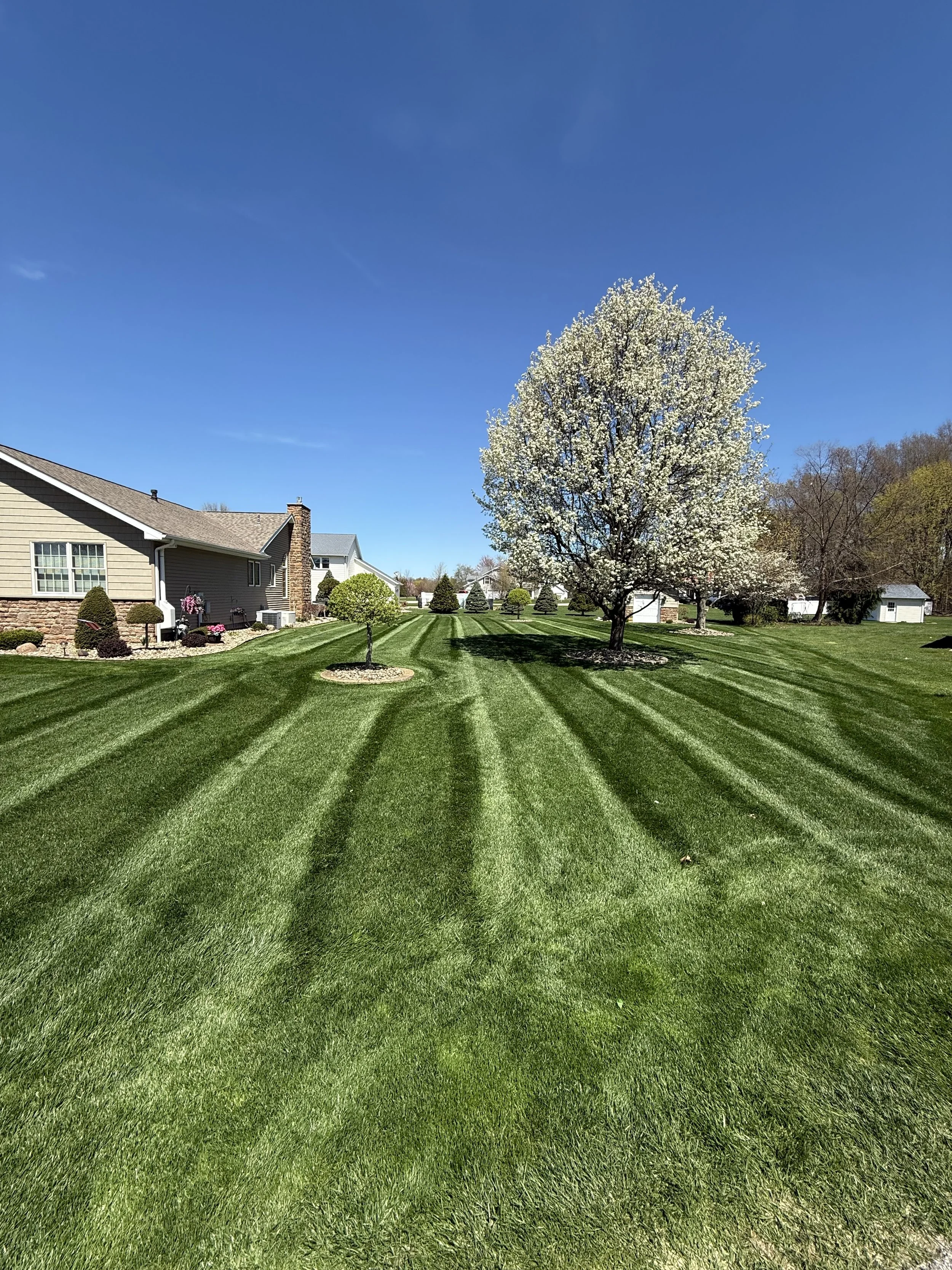 Photo Apr 22 2025, 12 44 36 PM (1).jpg