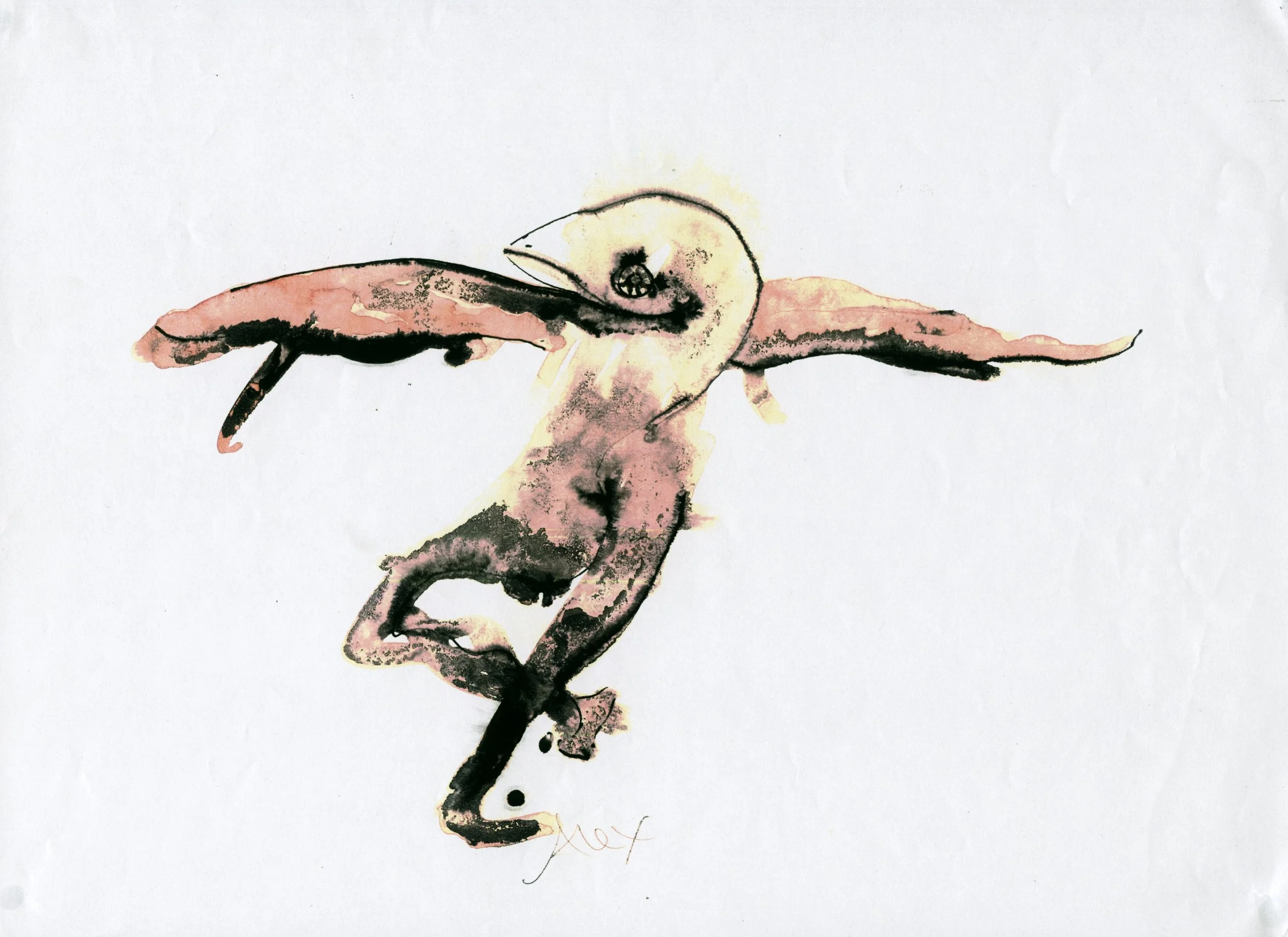 bird.JPG
