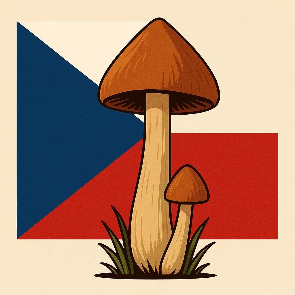 República Tcheca e a Virada Global na Política dos Cogumelos Psilocibinos