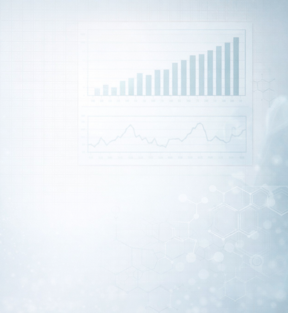 Relatório Financeiro 2024-2025