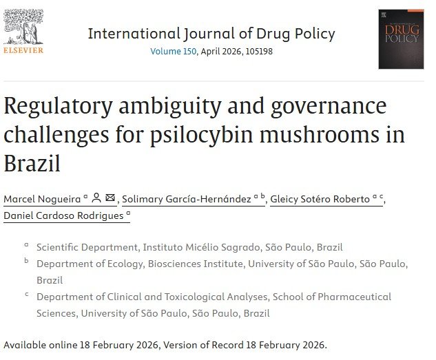 Instituto Micélio Sagrado publica artigo em revista internacional de políticas de drogas