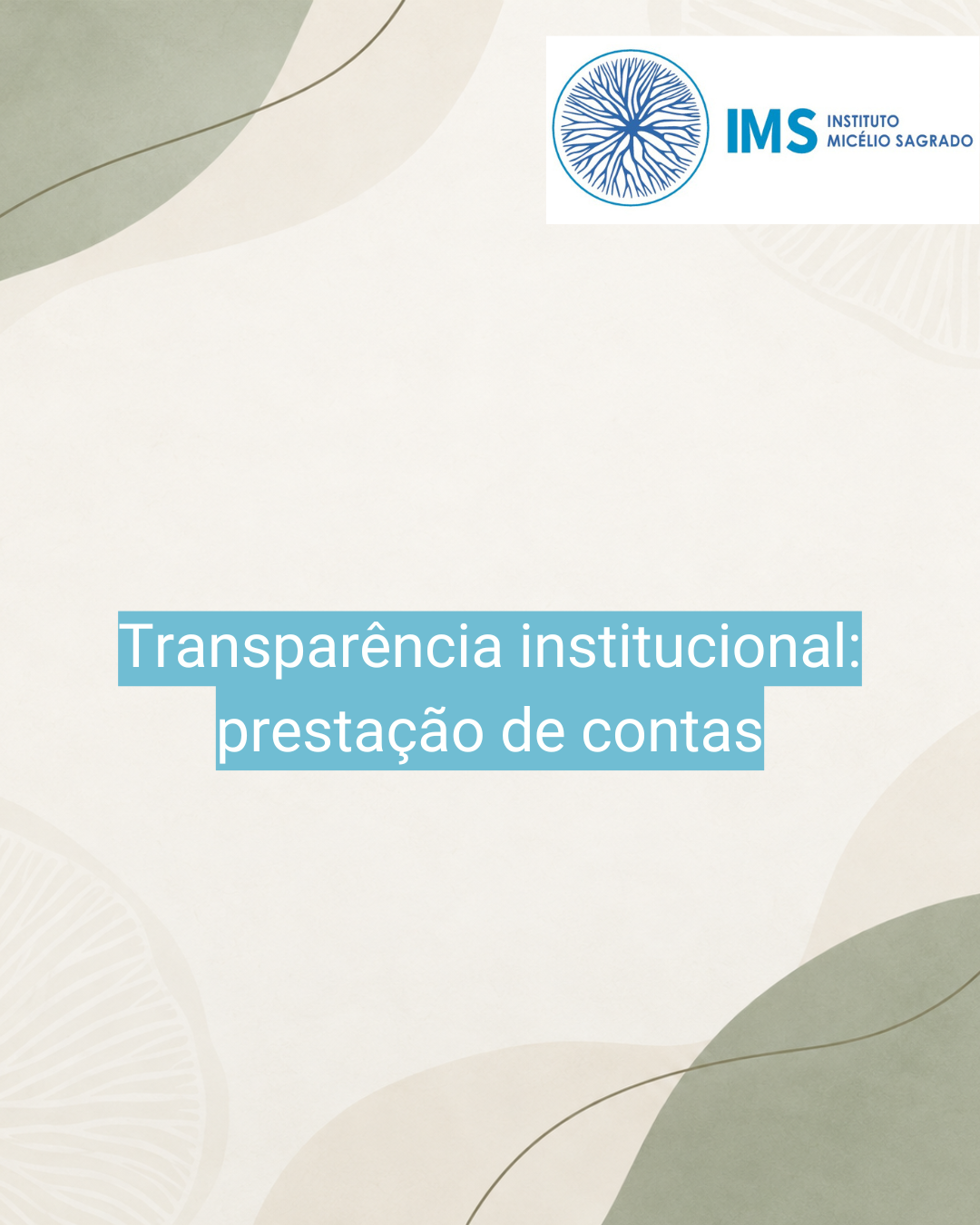 Transparência institucional: prestação de contas e reconhecimento do trabalho de gestão no IMS