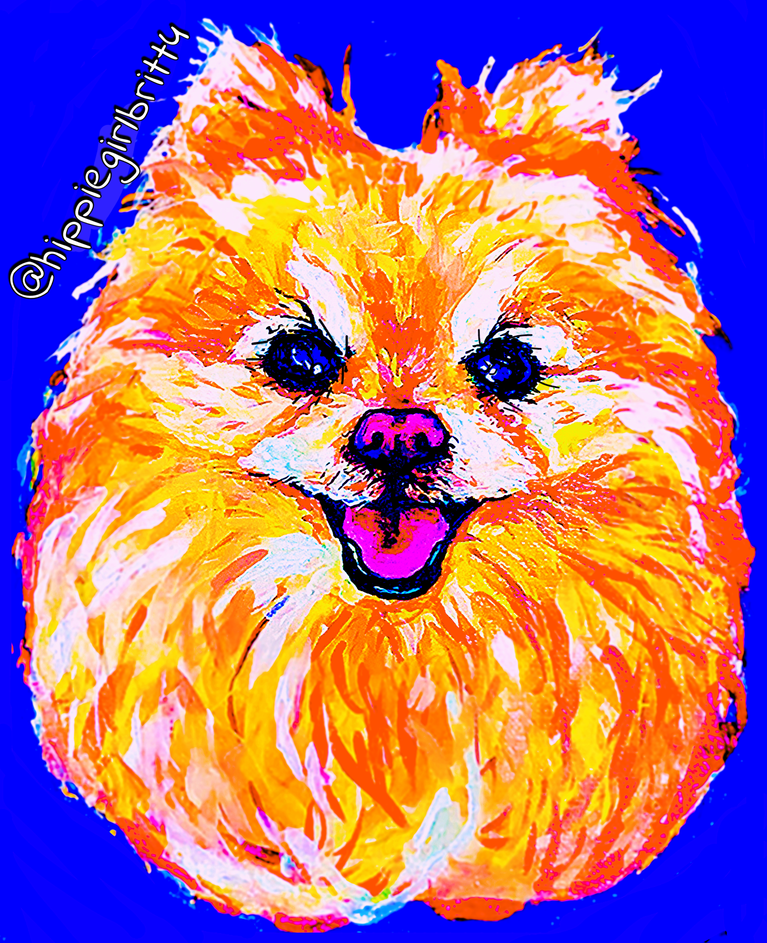 Chewy the mini-pom -Acrylic on Canvas