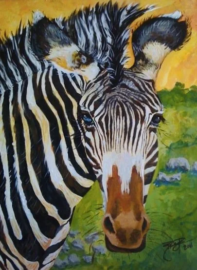 Zebra -Acrylic on Canvas