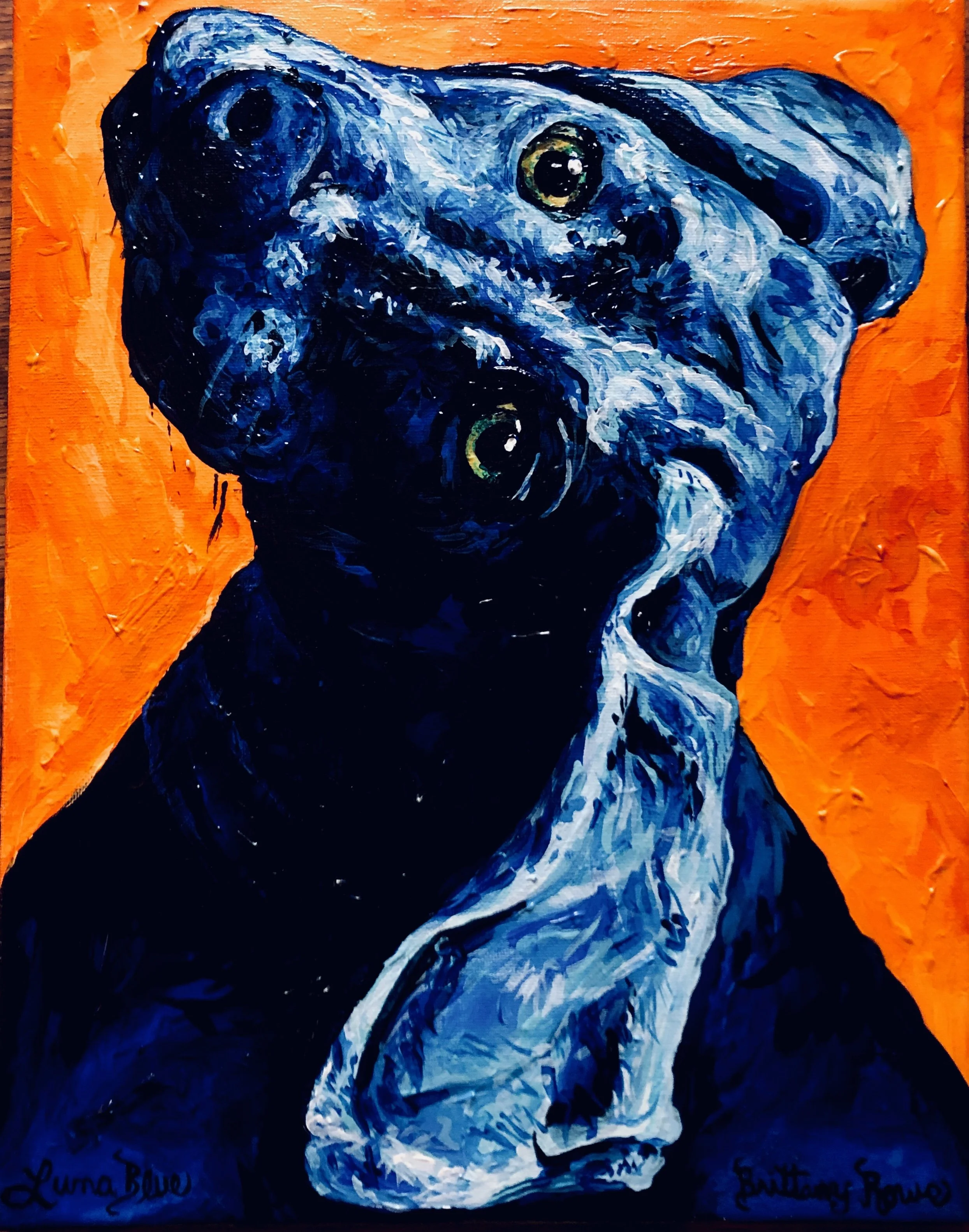 Owl Practice by Luna -Acrylic on Canvas
