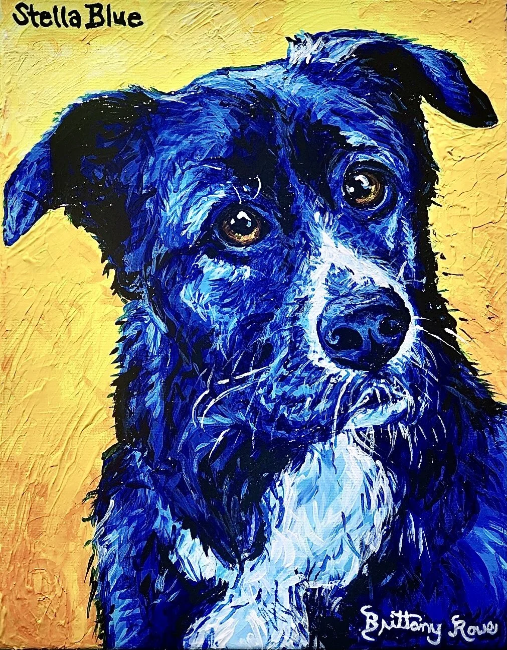 Stella Blue -Acrylic on Canvas